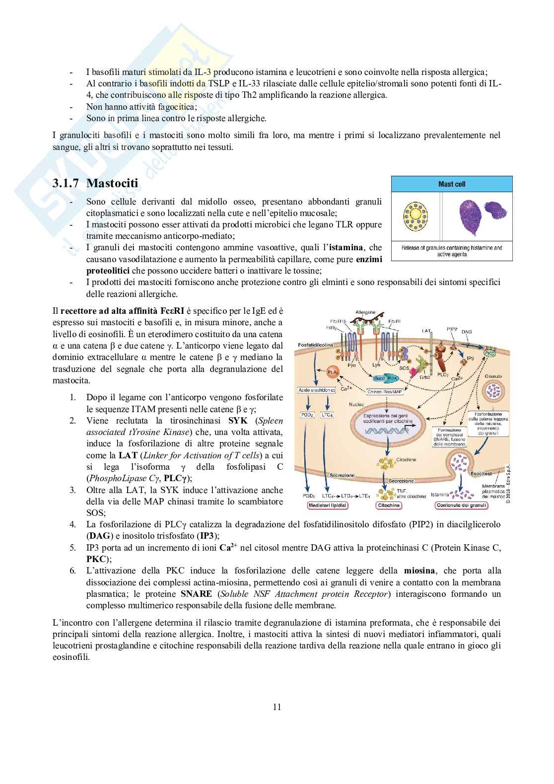 Appunti di Immunologia Pag. 11