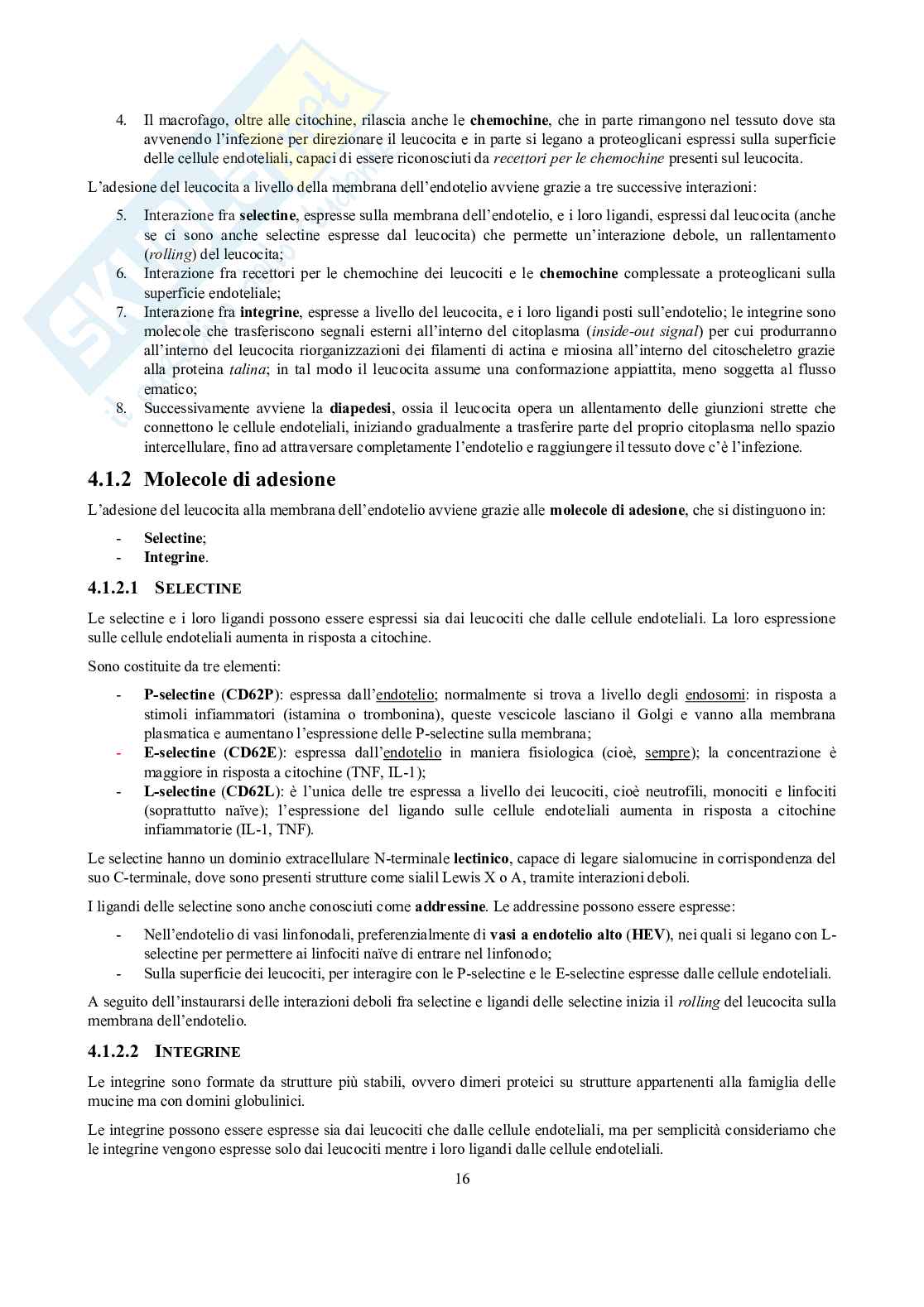 Appunti di Immunologia Pag. 16