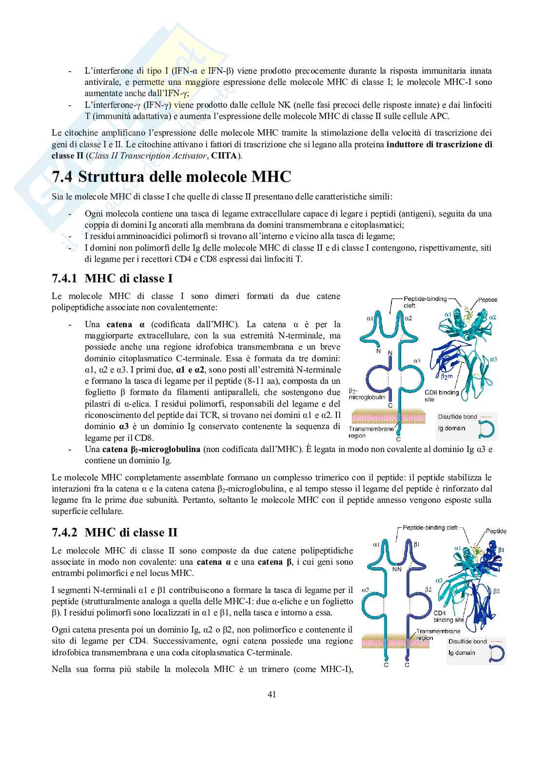 Appunti di Immunologia Pag. 41