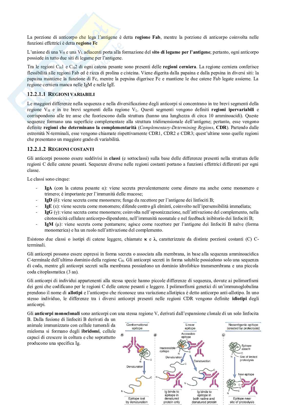 Appunti di Immunologia Pag. 61