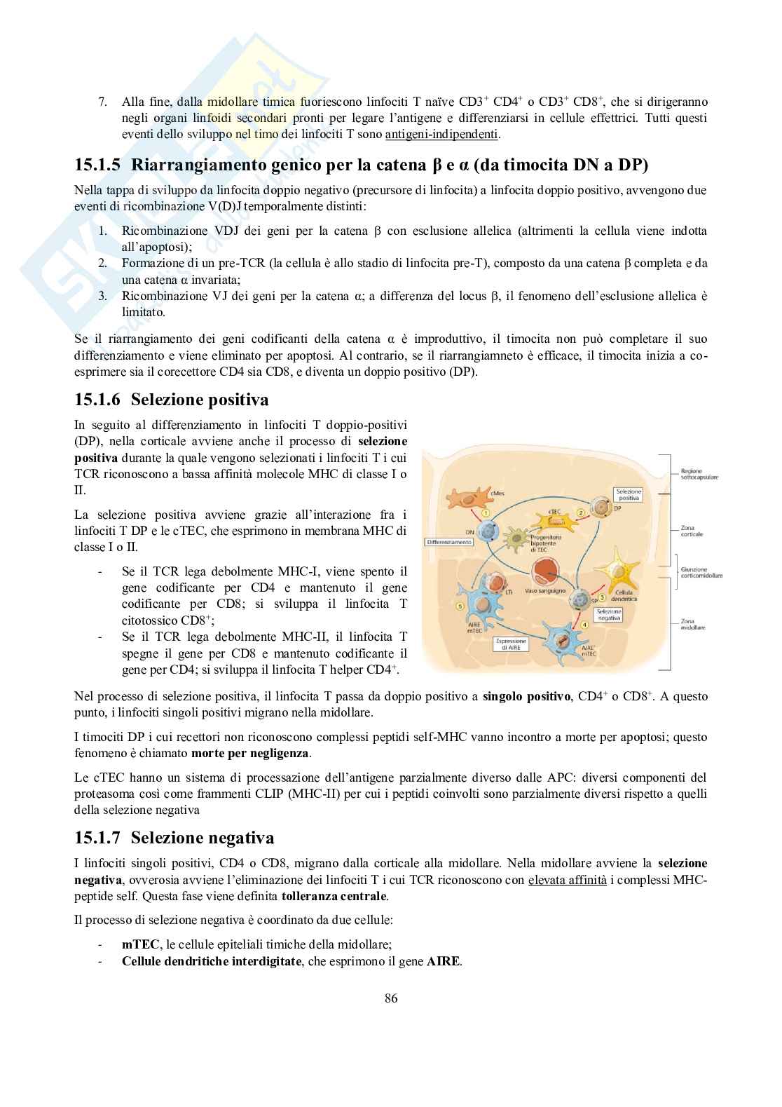 Appunti di Immunologia Pag. 86