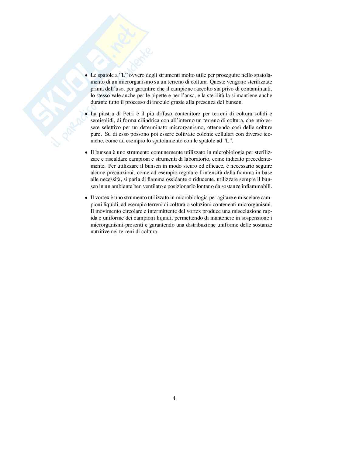 Report tecnico scientifico di Microbiologia applicata - 6/6 punti Pag. 6