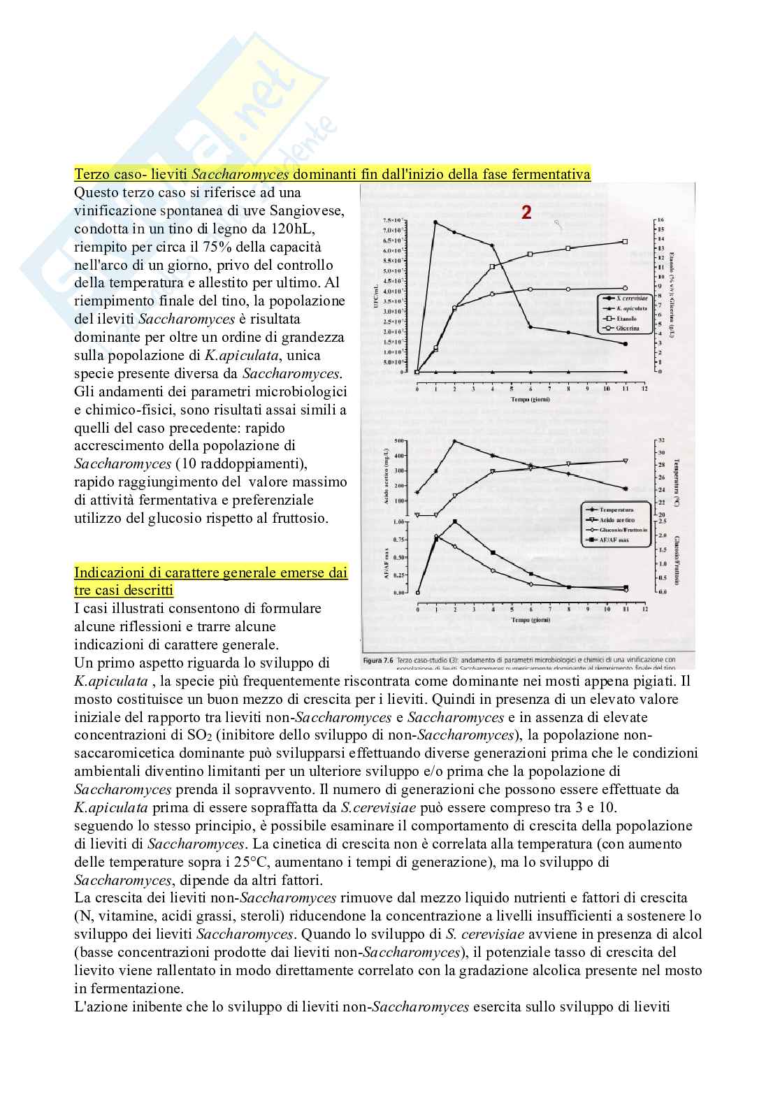 Microbiologia enologica Pag. 21