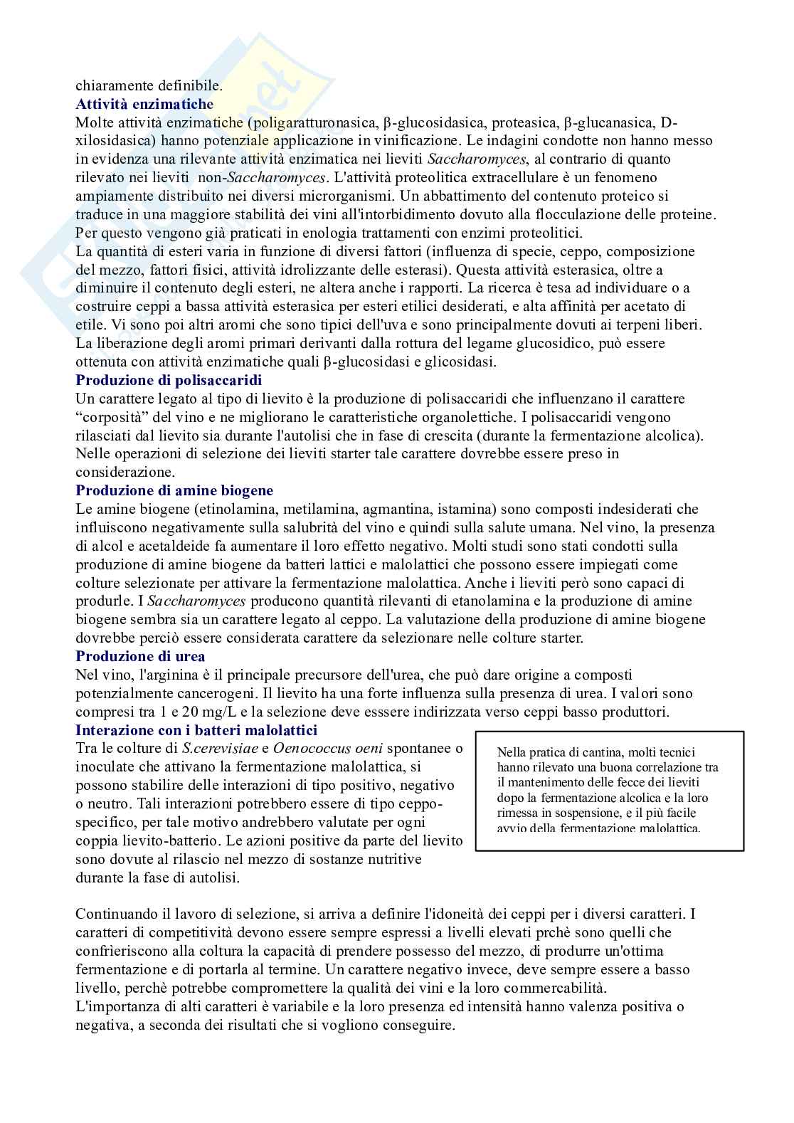 Microbiologia enologica Pag. 31
