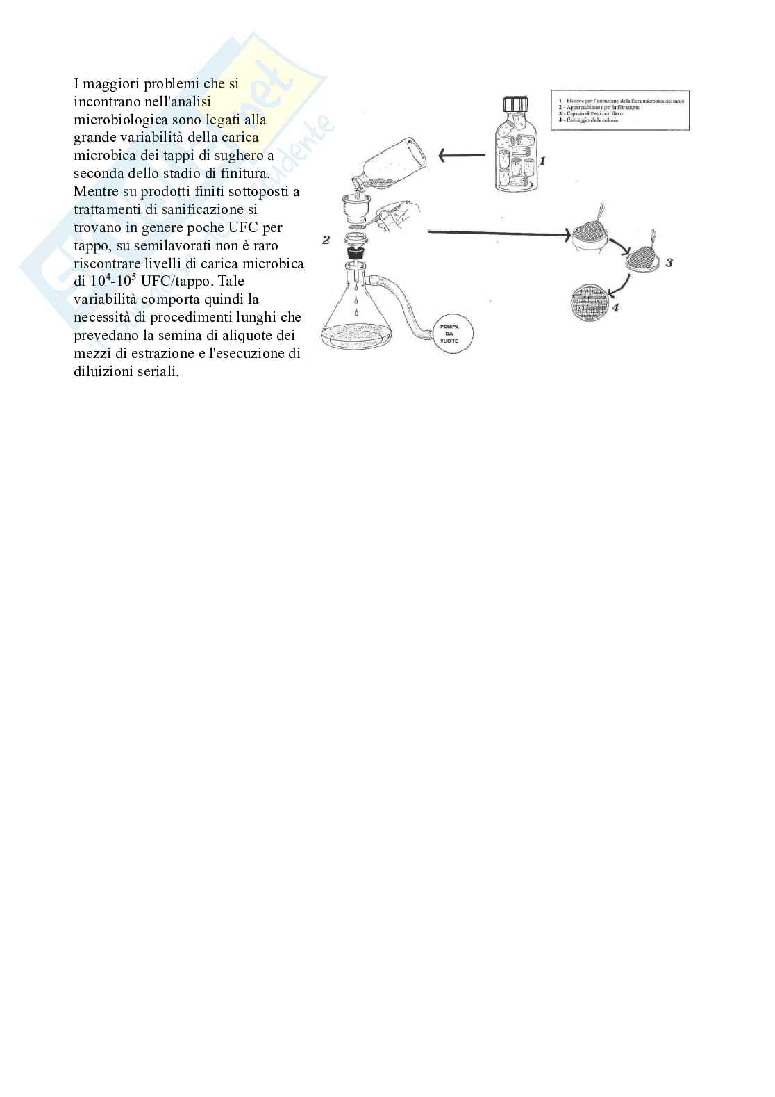 Microbiologia enologica Pag. 56