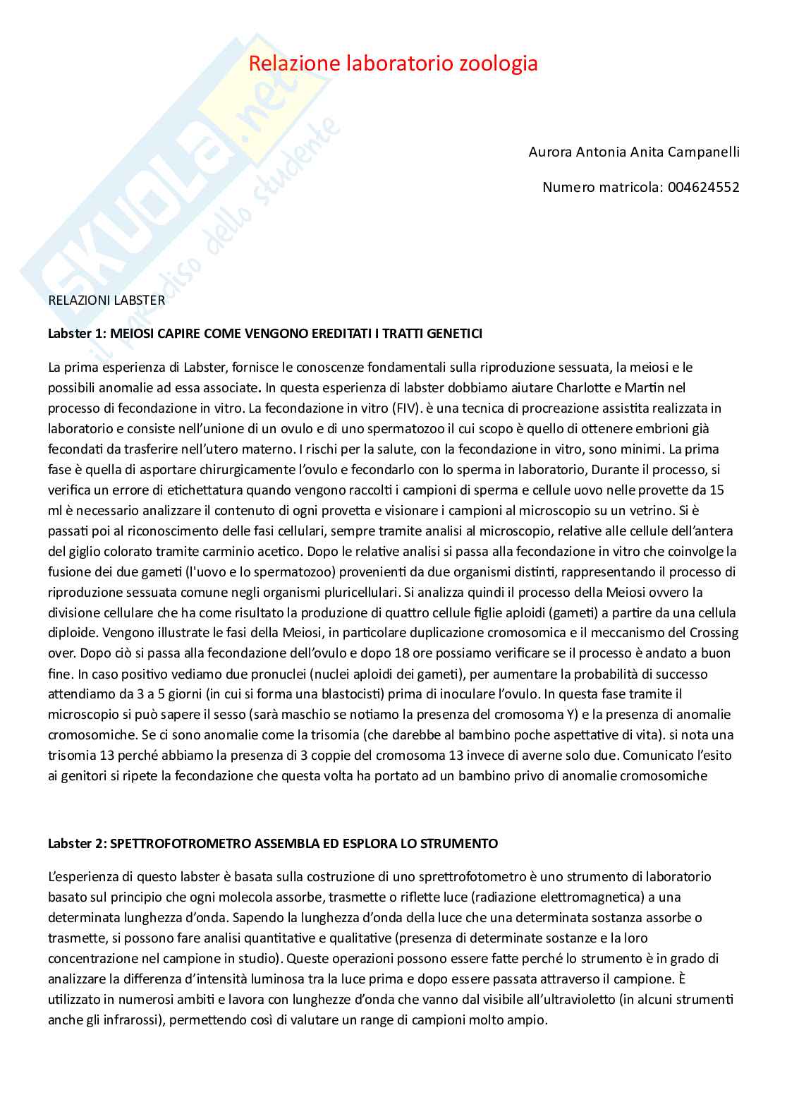 Relazione di laboratorio di Zoologia  Pag. 1