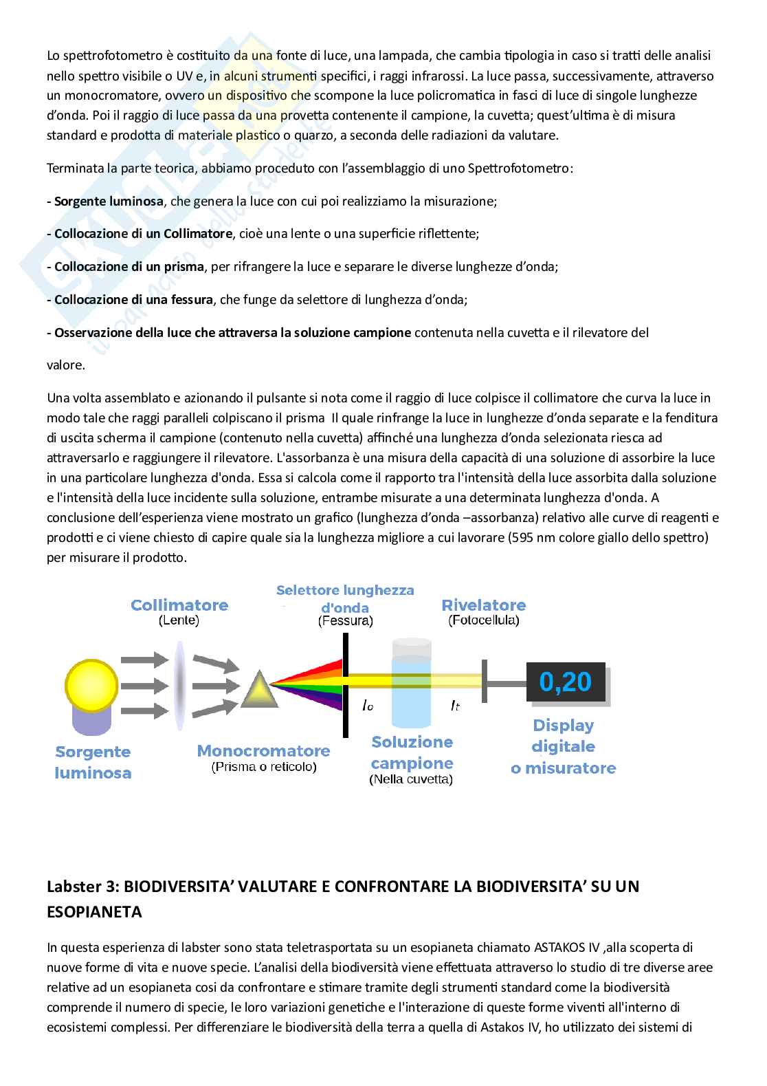 Relazione di laboratorio di Zoologia  Pag. 2