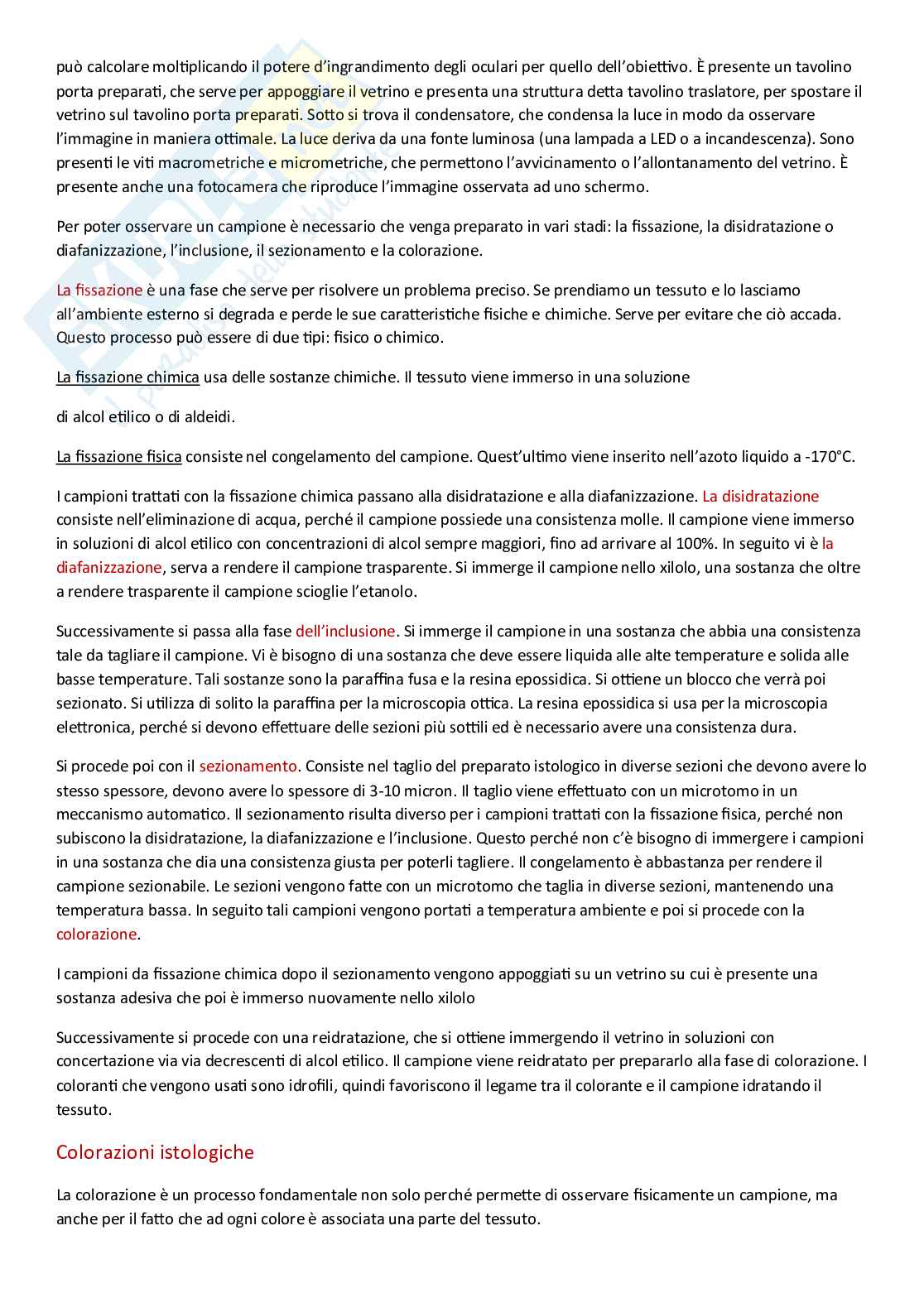 Relazione di laboratorio di Zoologia  Pag. 6