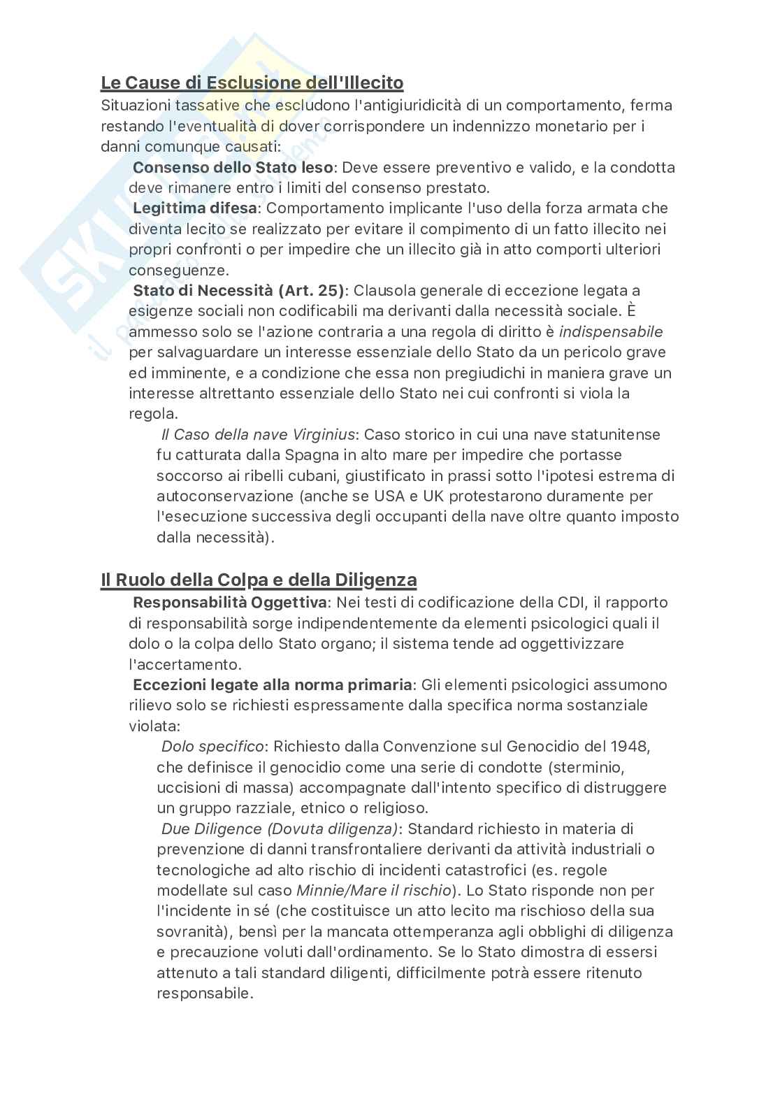 Diritto internazionale  Pag. 41
