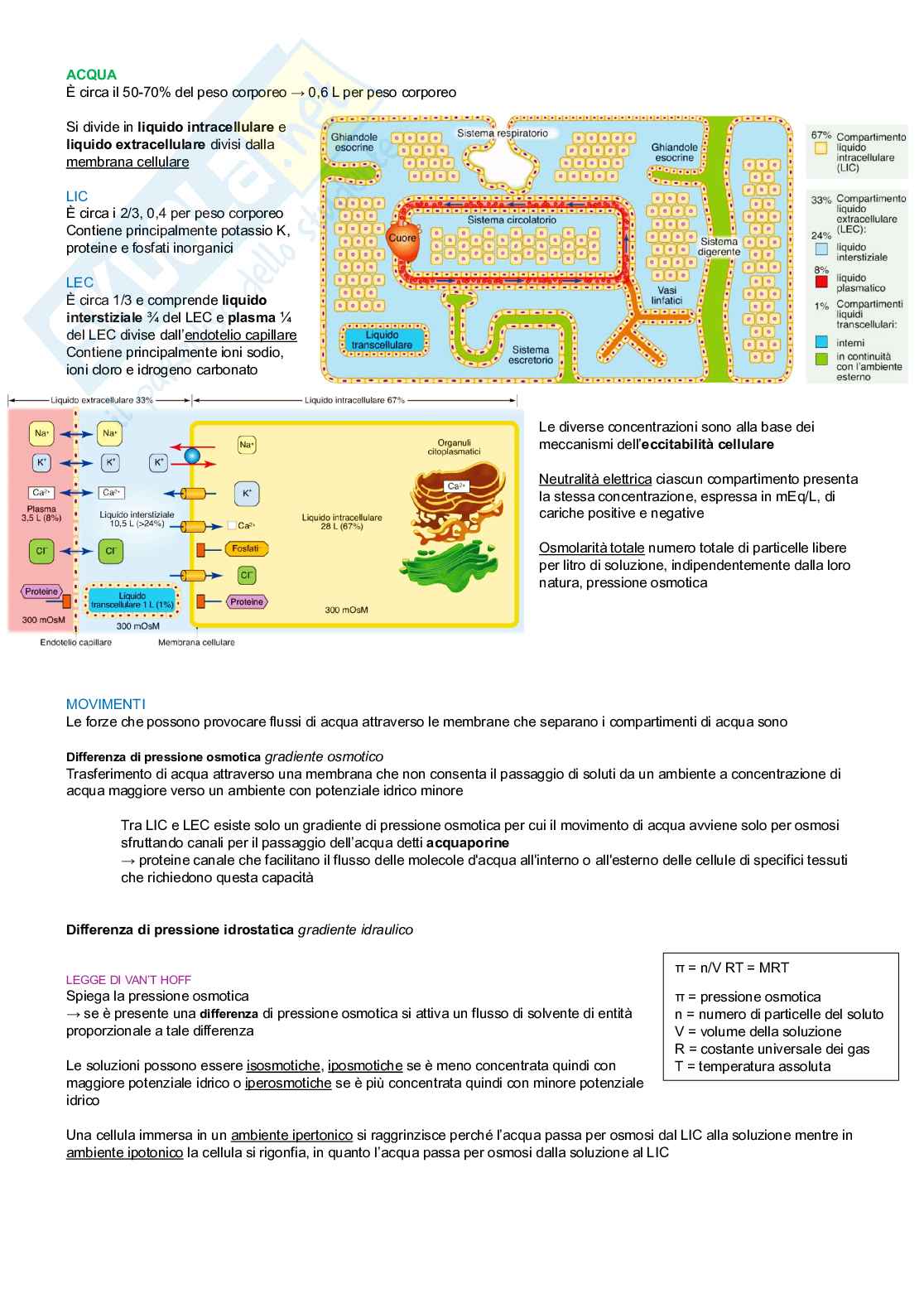 Fisiologia di organi e apparati  Pag. 2