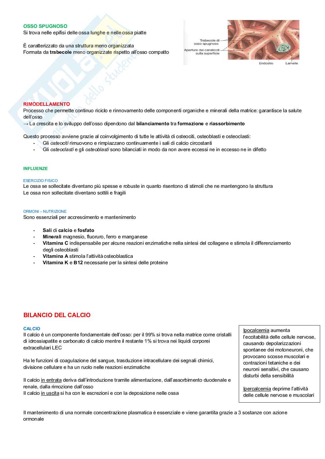 Fisiologia di organi e apparati  Pag. 26