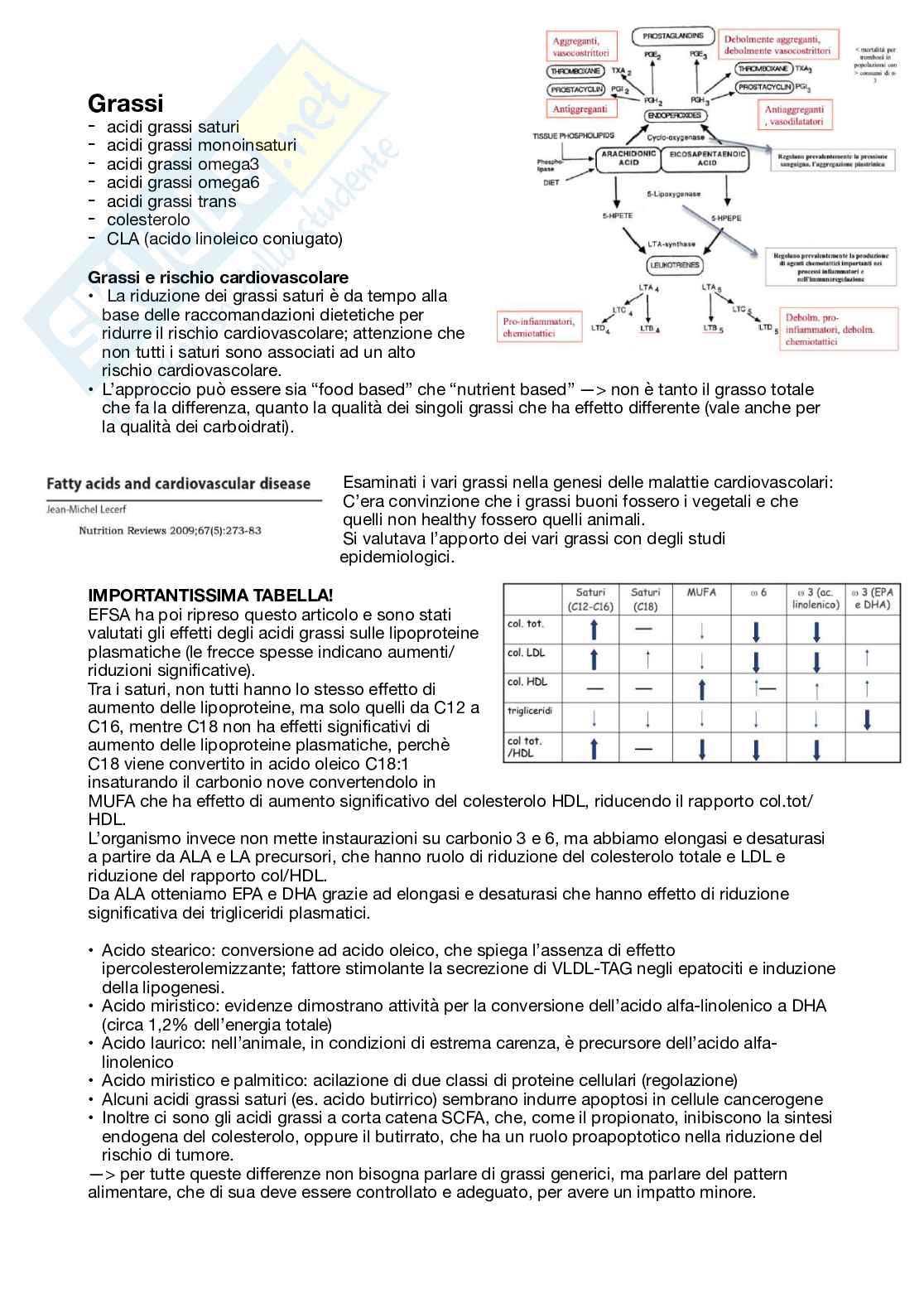 Appunti di Alimentazione e promozione della salute  Pag. 46