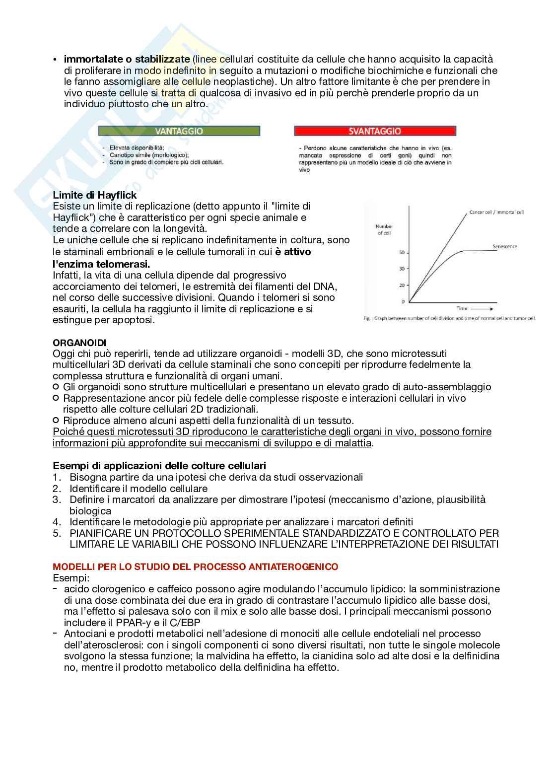 Appunti di Alimentazione e promozione della salute  Pag. 6