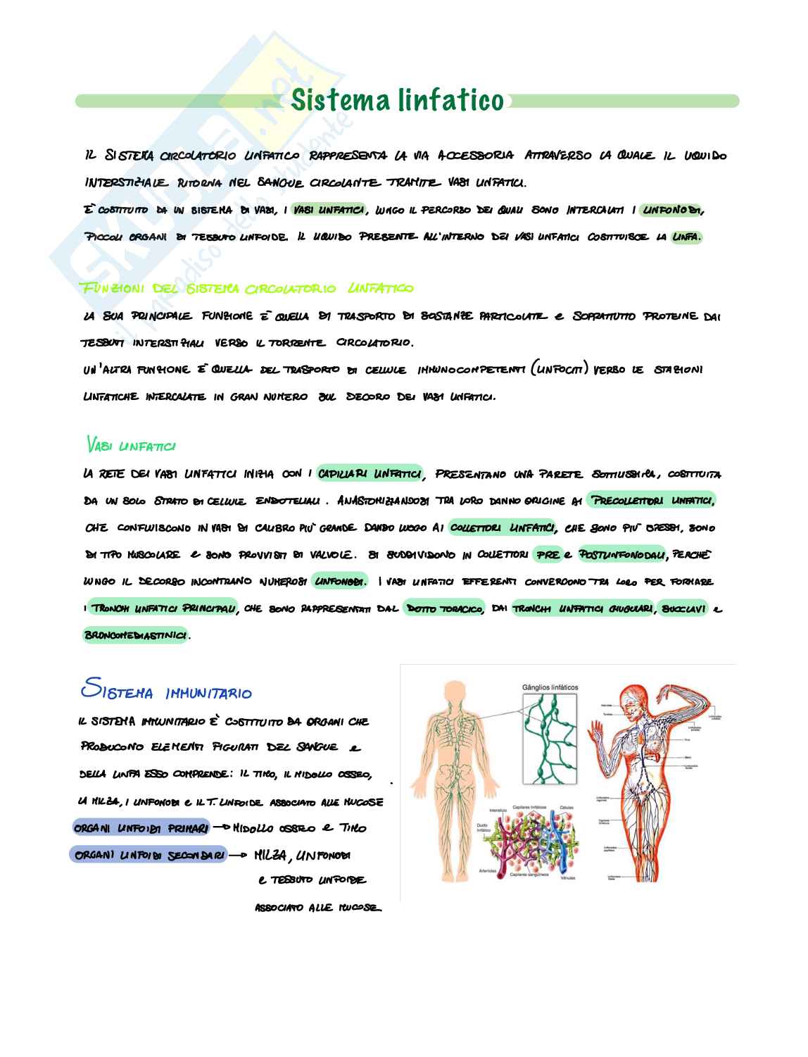 Sistema linfatico  Pag. 1