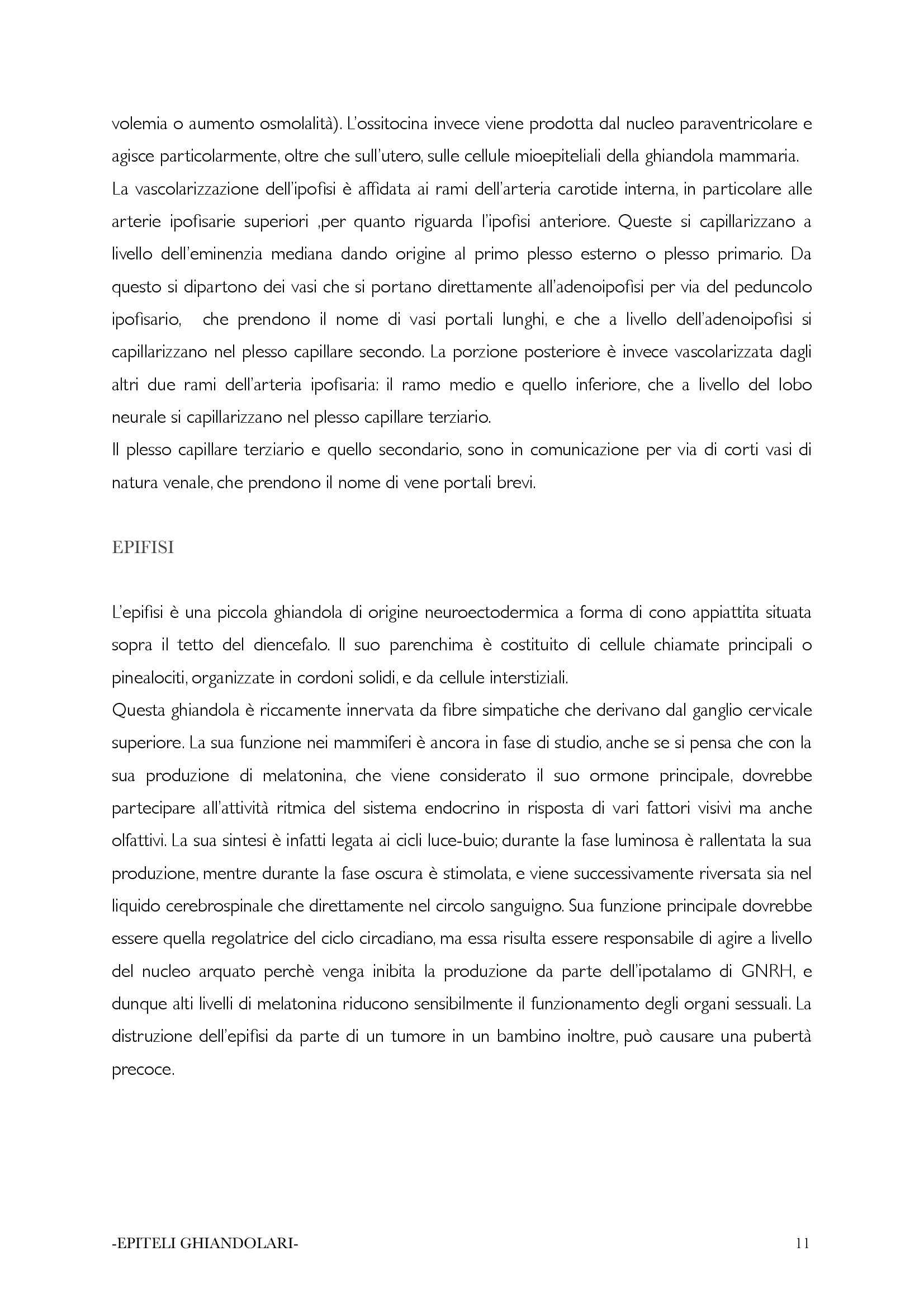 Istologia e epidemiologia - epiteli ghiandolari Pag. 11