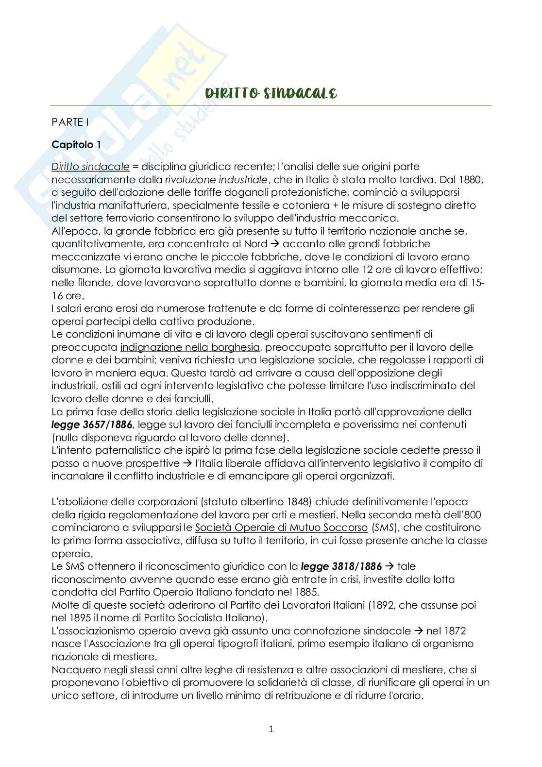 Riassunto esame Diritto sindacale, Prof. Comandè Daniela, libro consigliato Diritto sindacale, Ballestrero Pag. 1