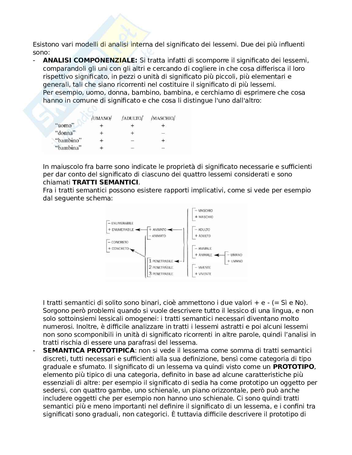 Riassunto esame Linguistica generale, Prof. Ciconte Francesco, libro consigliato La linguistica un corso introduttivo, Berruto Cerruti Pag. 36