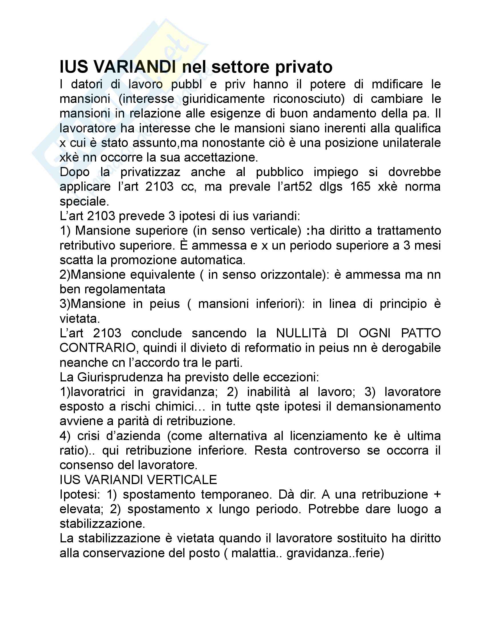 Diritto del lavoro - le Pubbliche Amministrazioni - Appunti Pag. 16