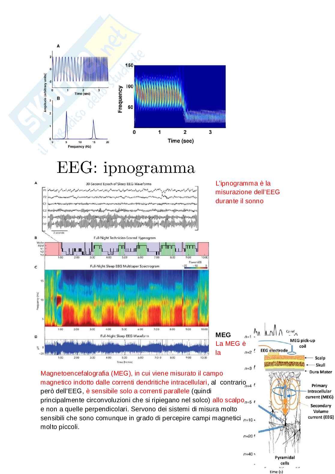 Fondamenti di neuroscienze e sistemi neurali Pag. 11