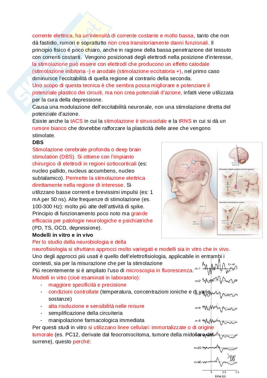 Fondamenti di neuroscienze e sistemi neurali Pag. 16