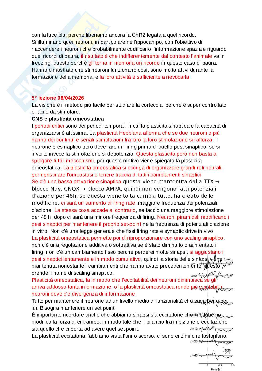 Fondamenti di neuroscienze e sistemi neurali Pag. 21