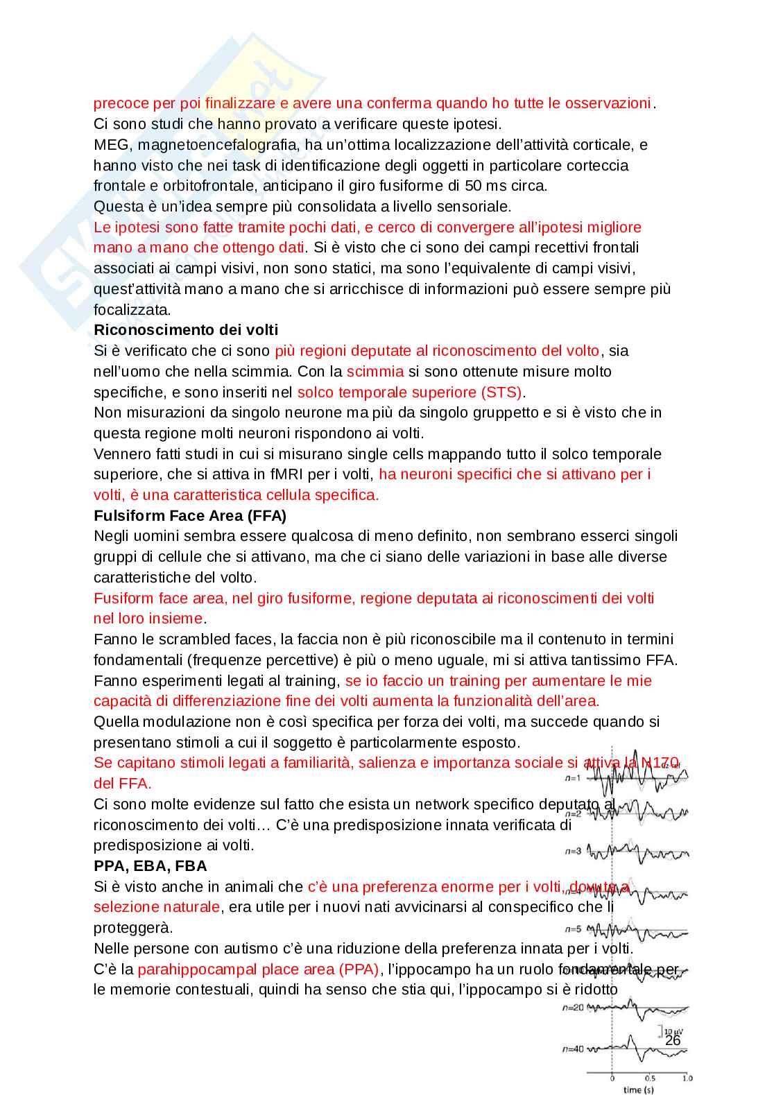 Fondamenti di neuroscienze e sistemi neurali Pag. 26