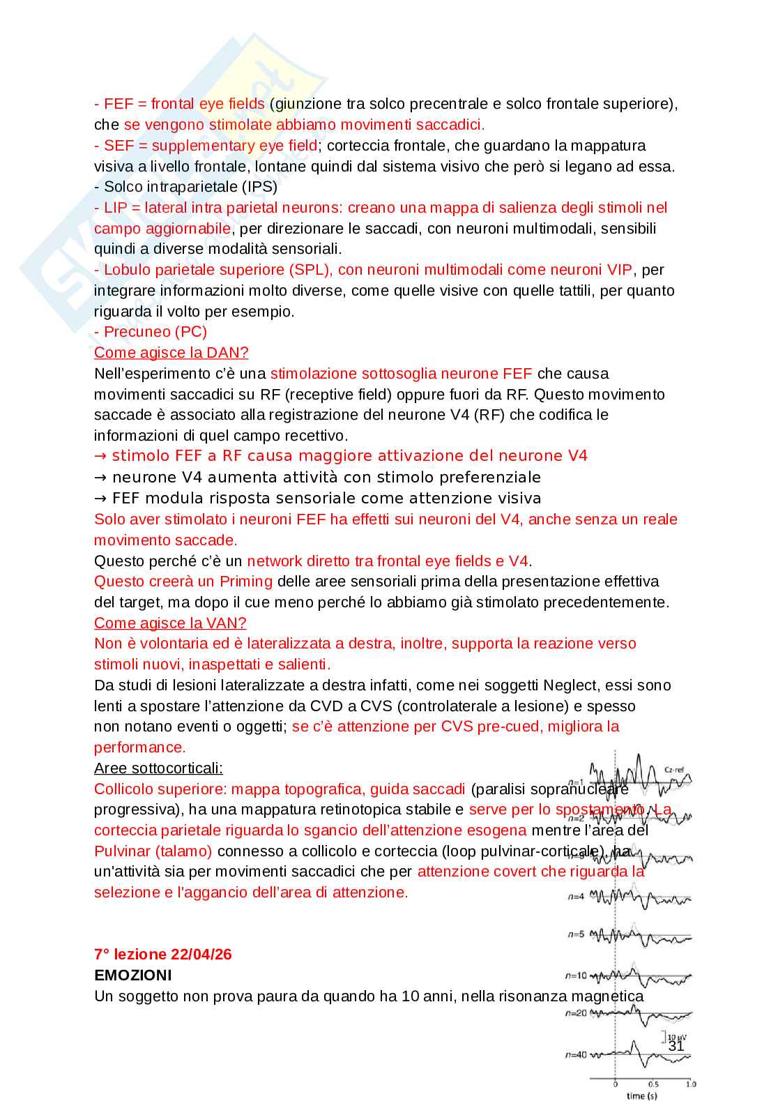 Fondamenti di neuroscienze e sistemi neurali Pag. 31