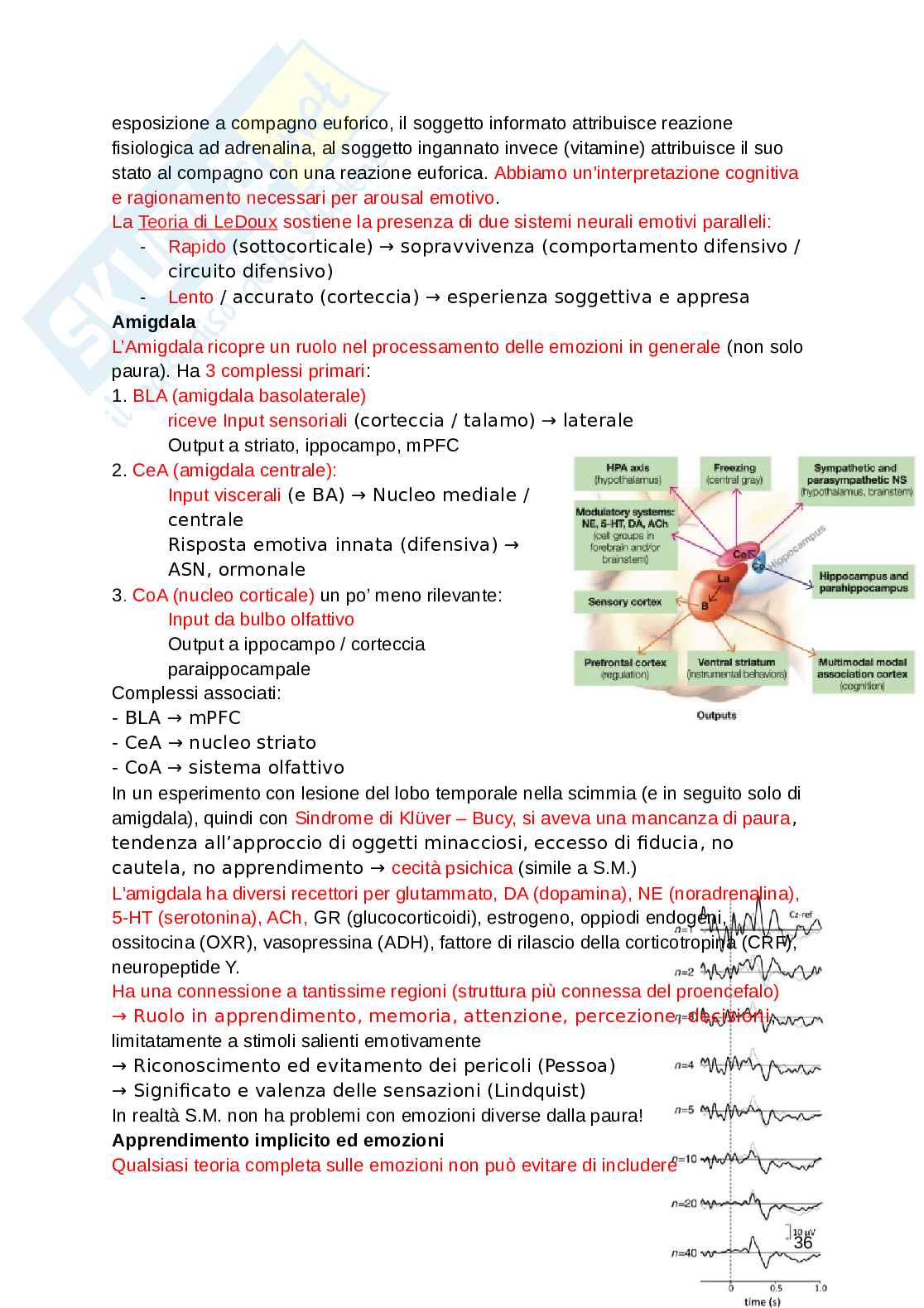 Fondamenti di neuroscienze e sistemi neurali Pag. 36