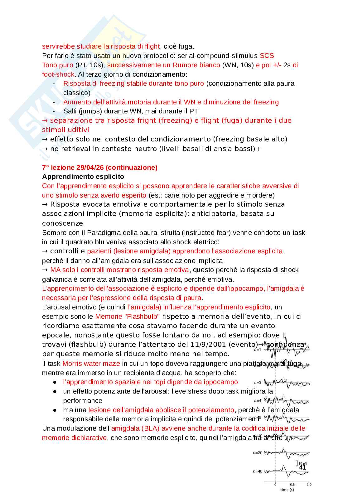 Fondamenti di neuroscienze e sistemi neurali Pag. 41
