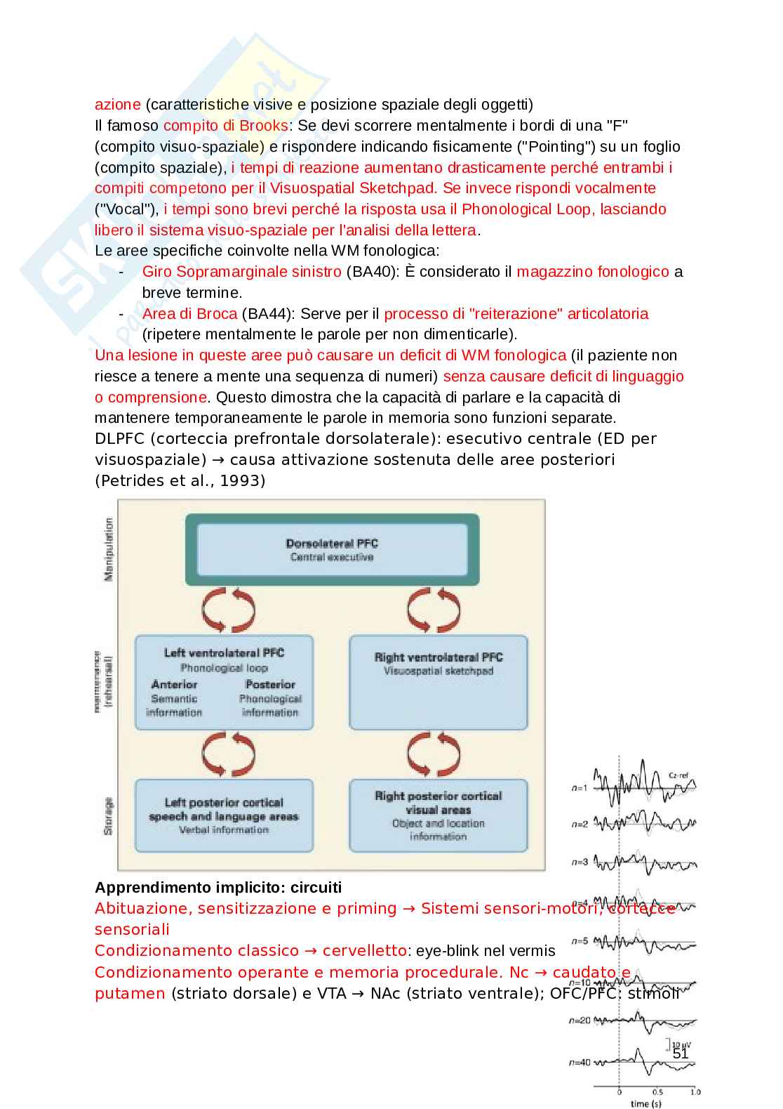 Fondamenti di neuroscienze e sistemi neurali Pag. 51