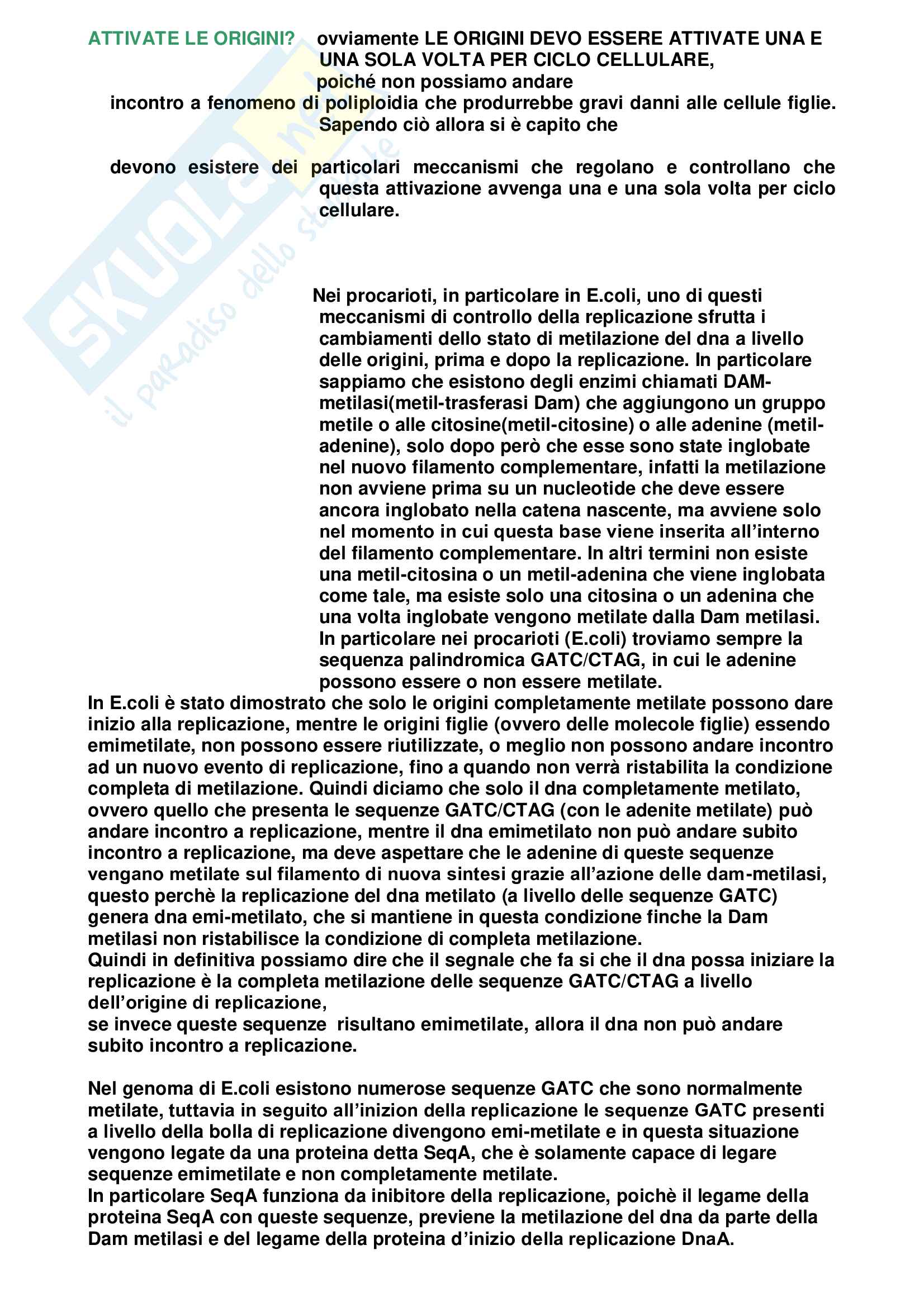 Biologia molecolare - Appunti Pag. 6