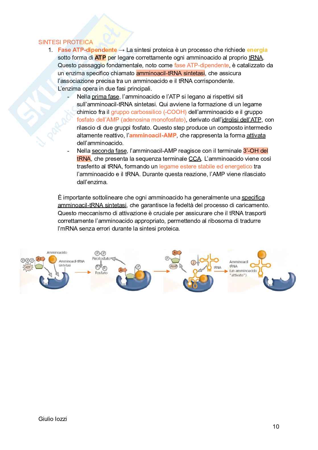 Biologia animale - parte 2 Pag. 11