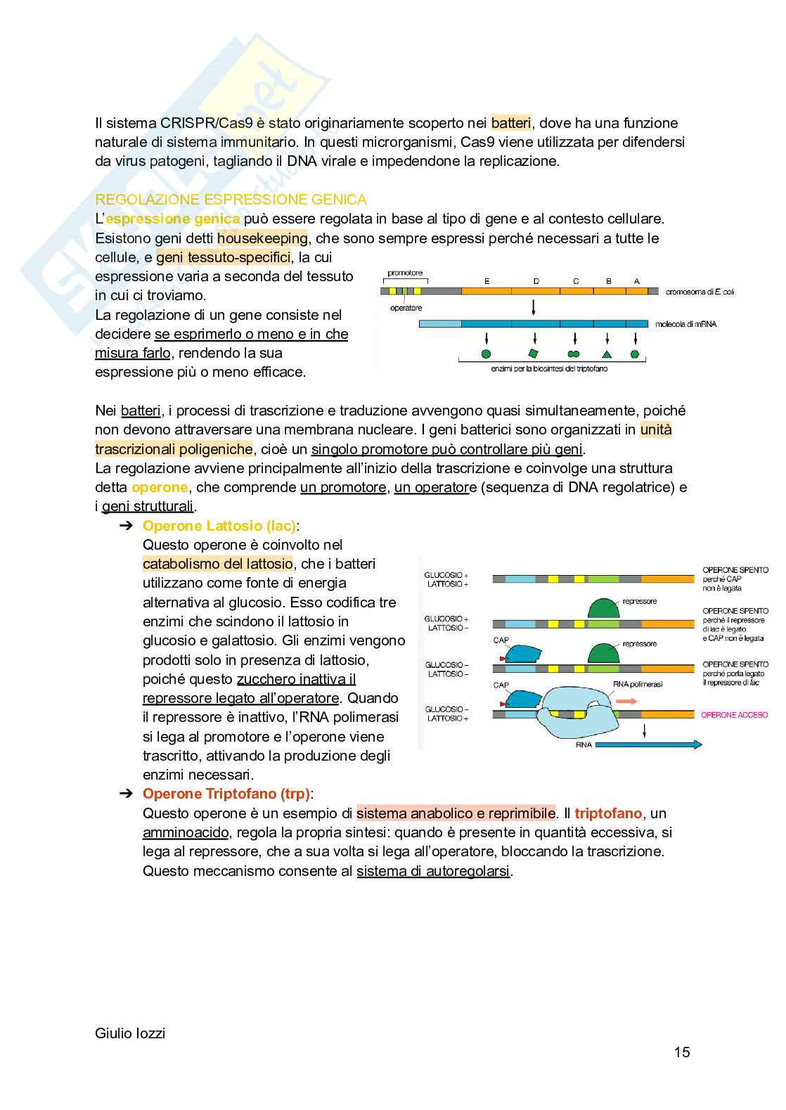 Biologia animale - parte 2 Pag. 16