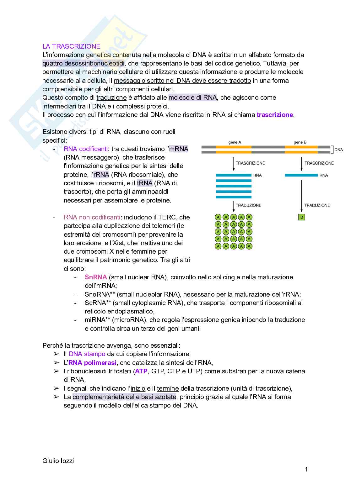 Biologia animale - parte 2 Pag. 2