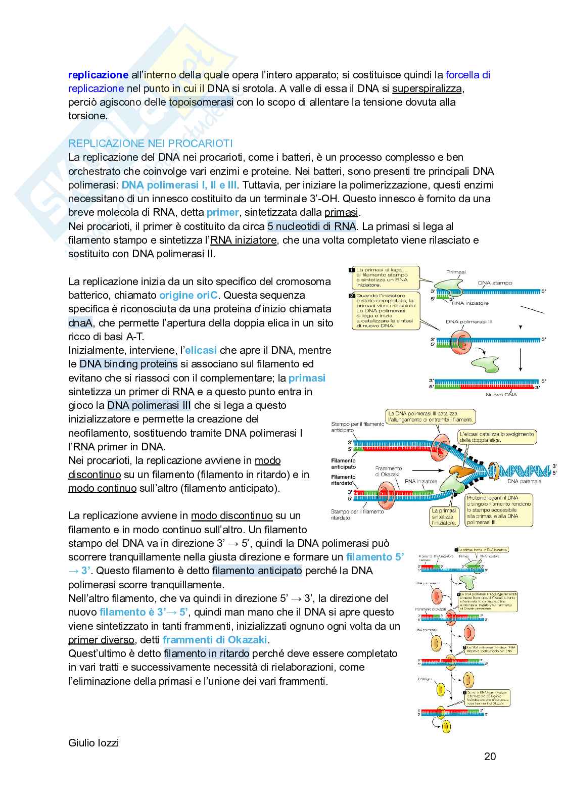 Biologia animale - parte 2 Pag. 21
