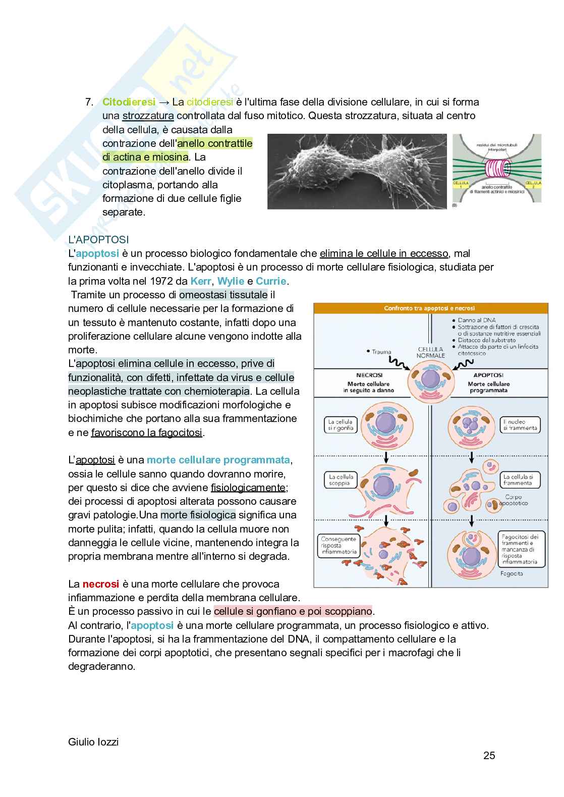 Biologia animale - parte 2 Pag. 26