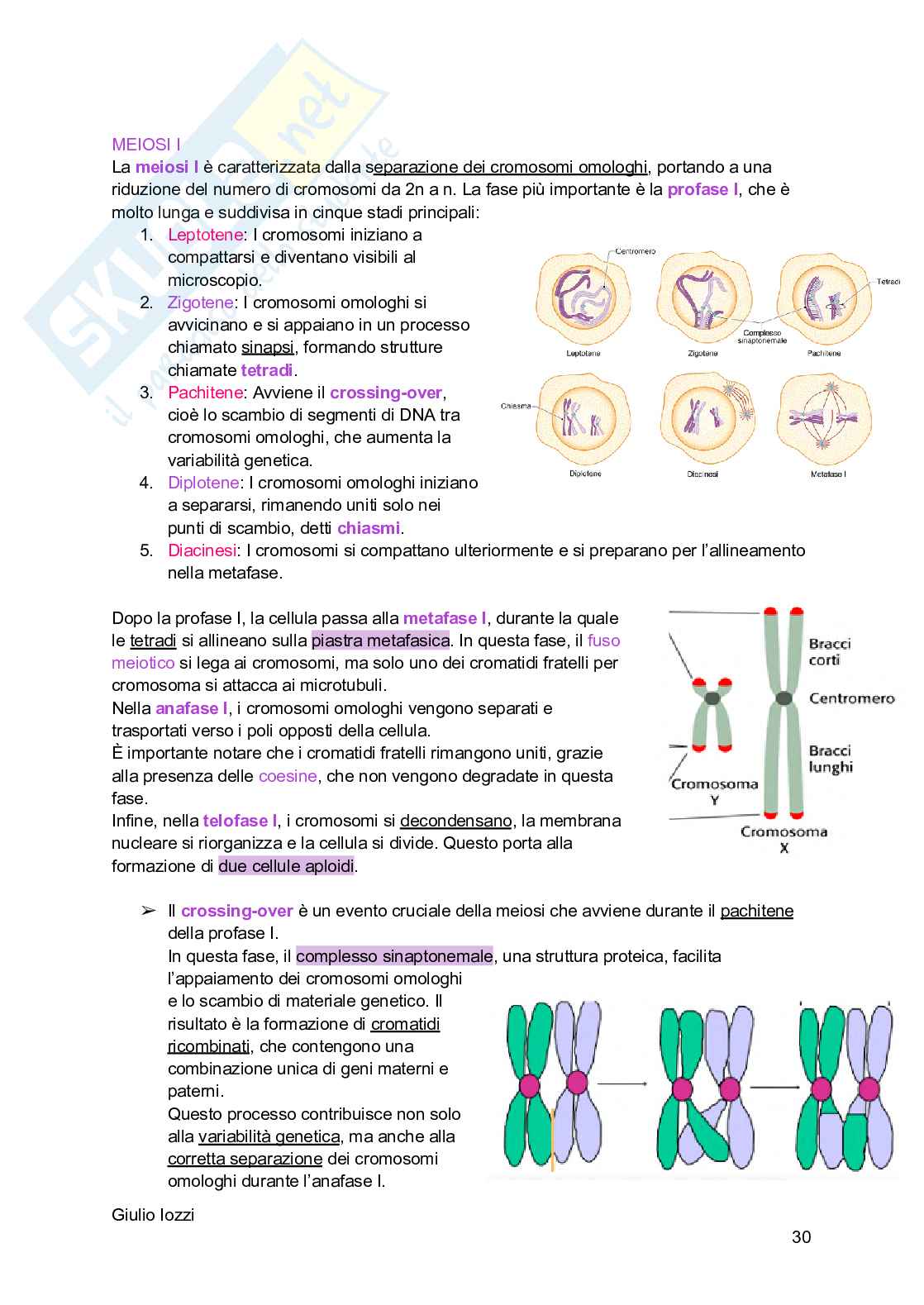 Biologia animale - parte 2 Pag. 31