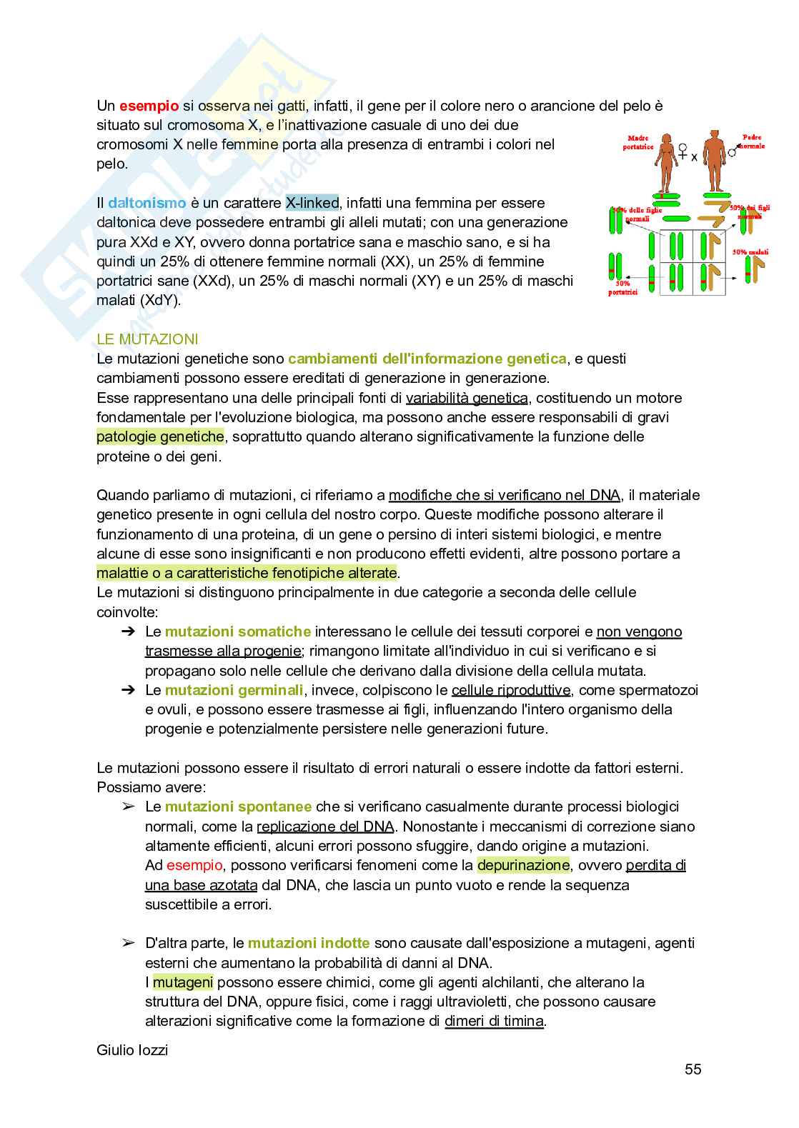 Biologia animale - parte 2 Pag. 56