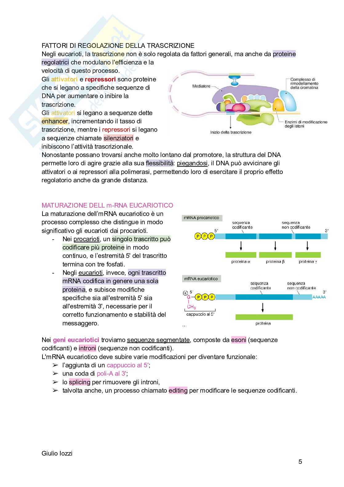 Biologia animale - parte 2 Pag. 6