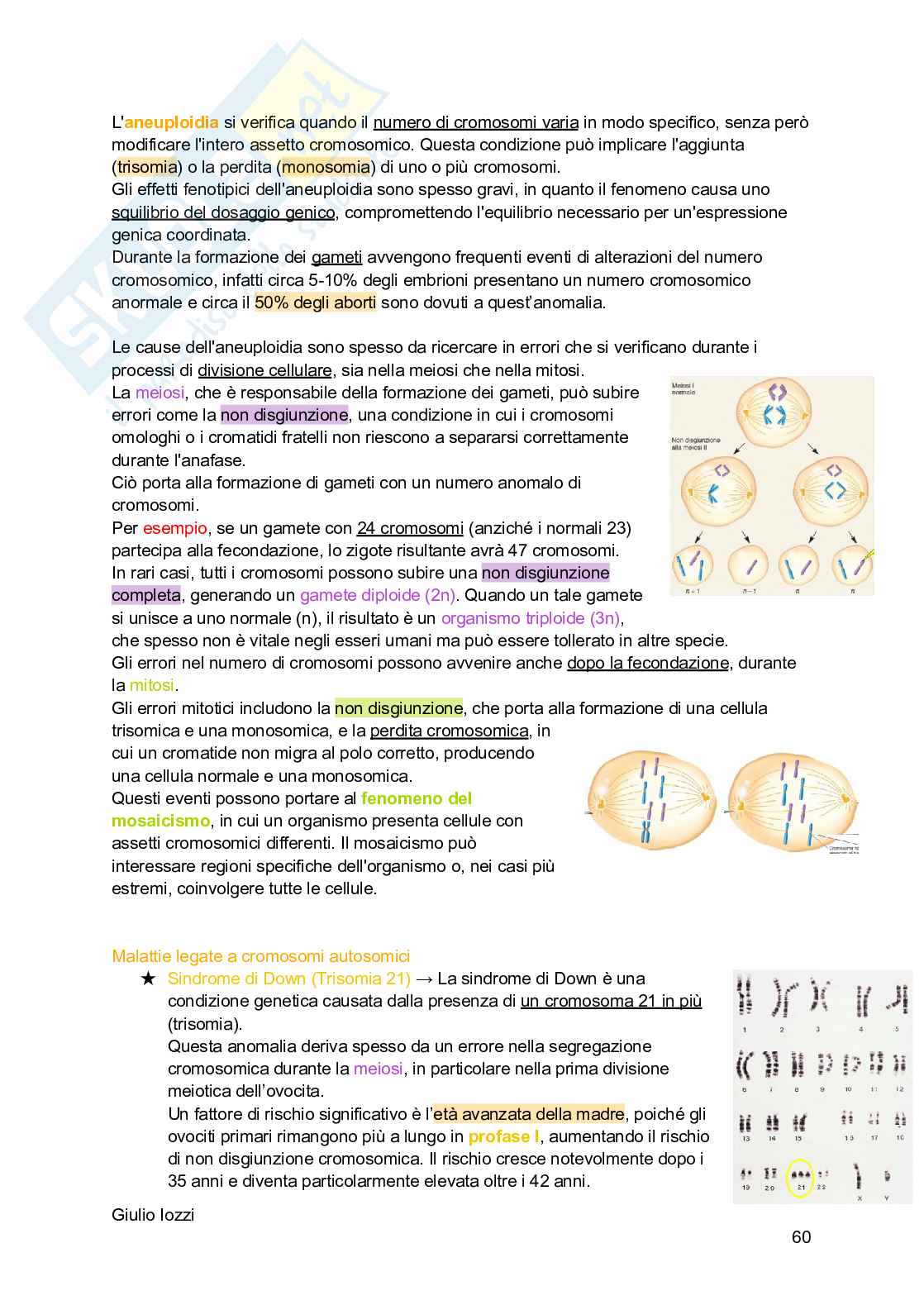 Biologia animale - parte 2 Pag. 61