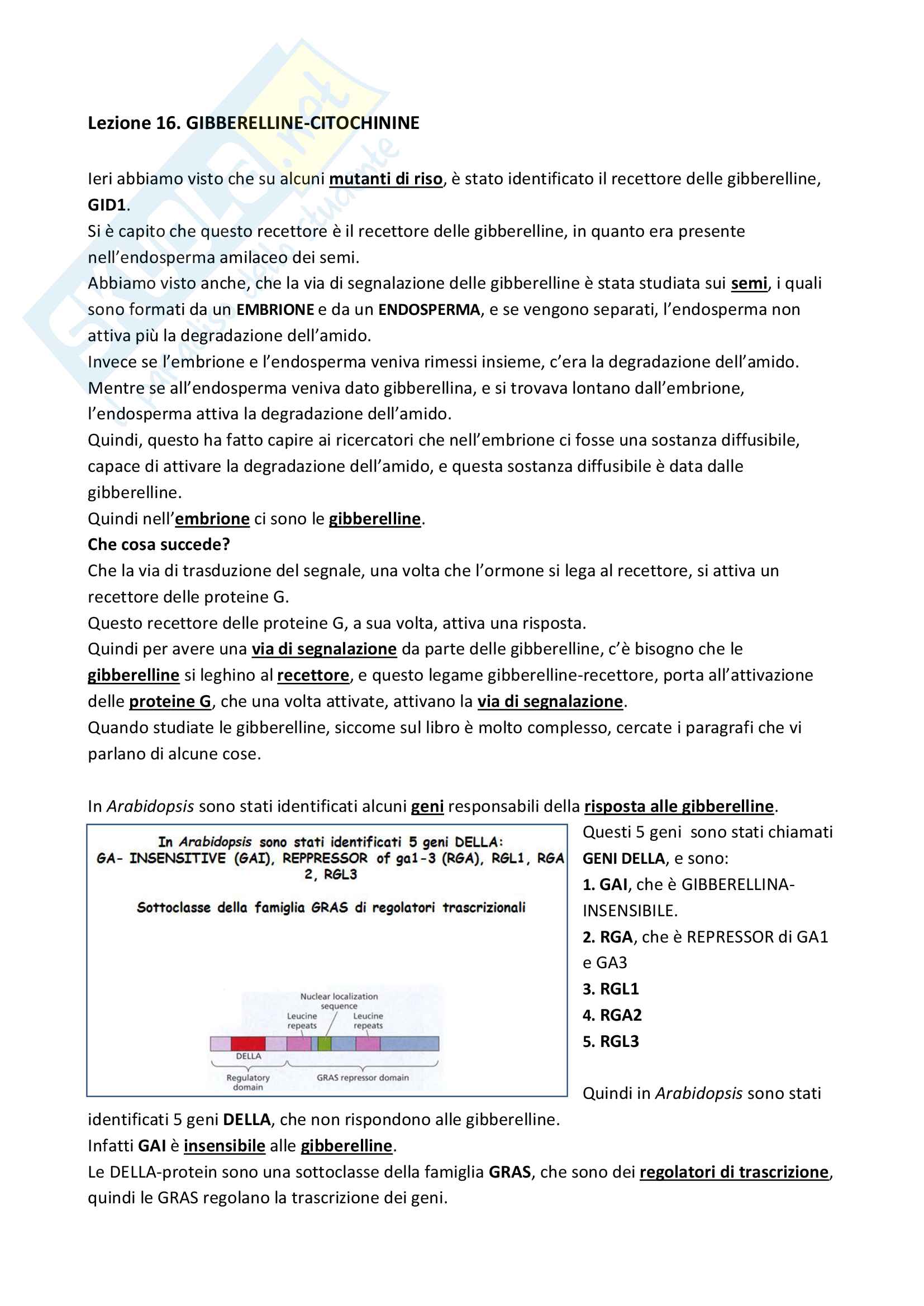 16) Lezione Citochinine Pag. 1