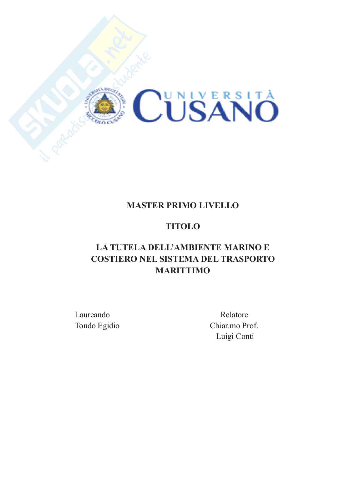 Tesi master lv.1 - La tutela dell'ambiente marino e costiero nel sistema del trasporto marittimo Pag. 1