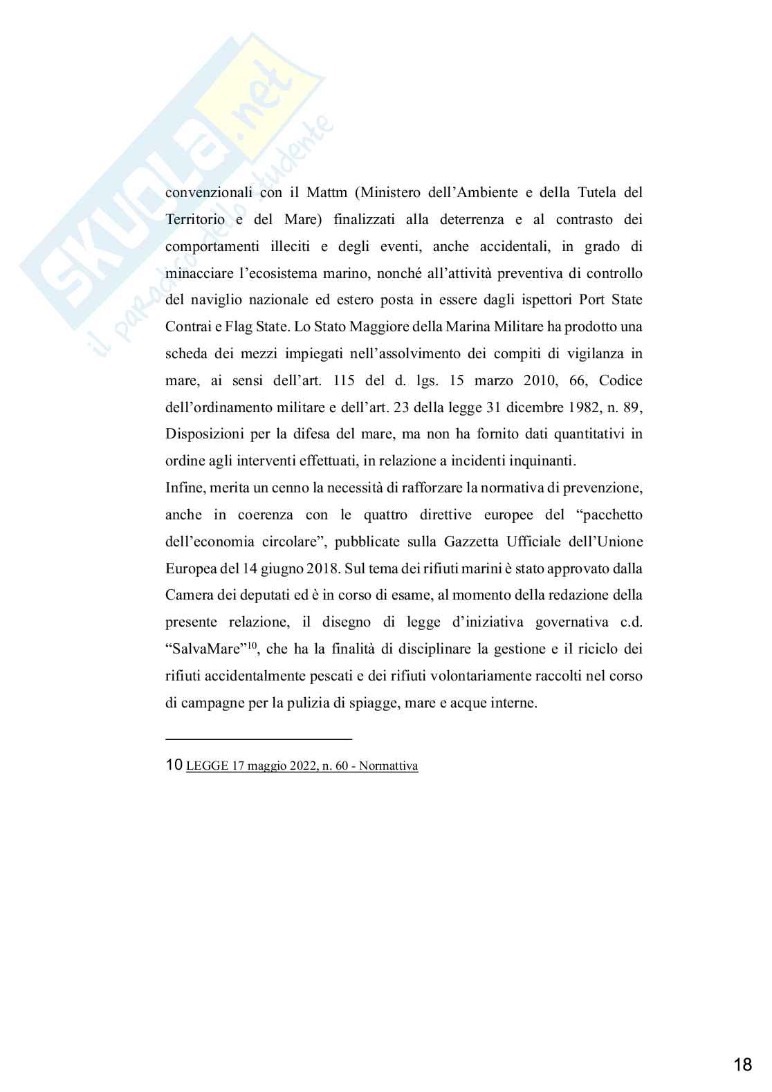 Tesi master lv.1 - La tutela dell'ambiente marino e costiero nel sistema del trasporto marittimo Pag. 21