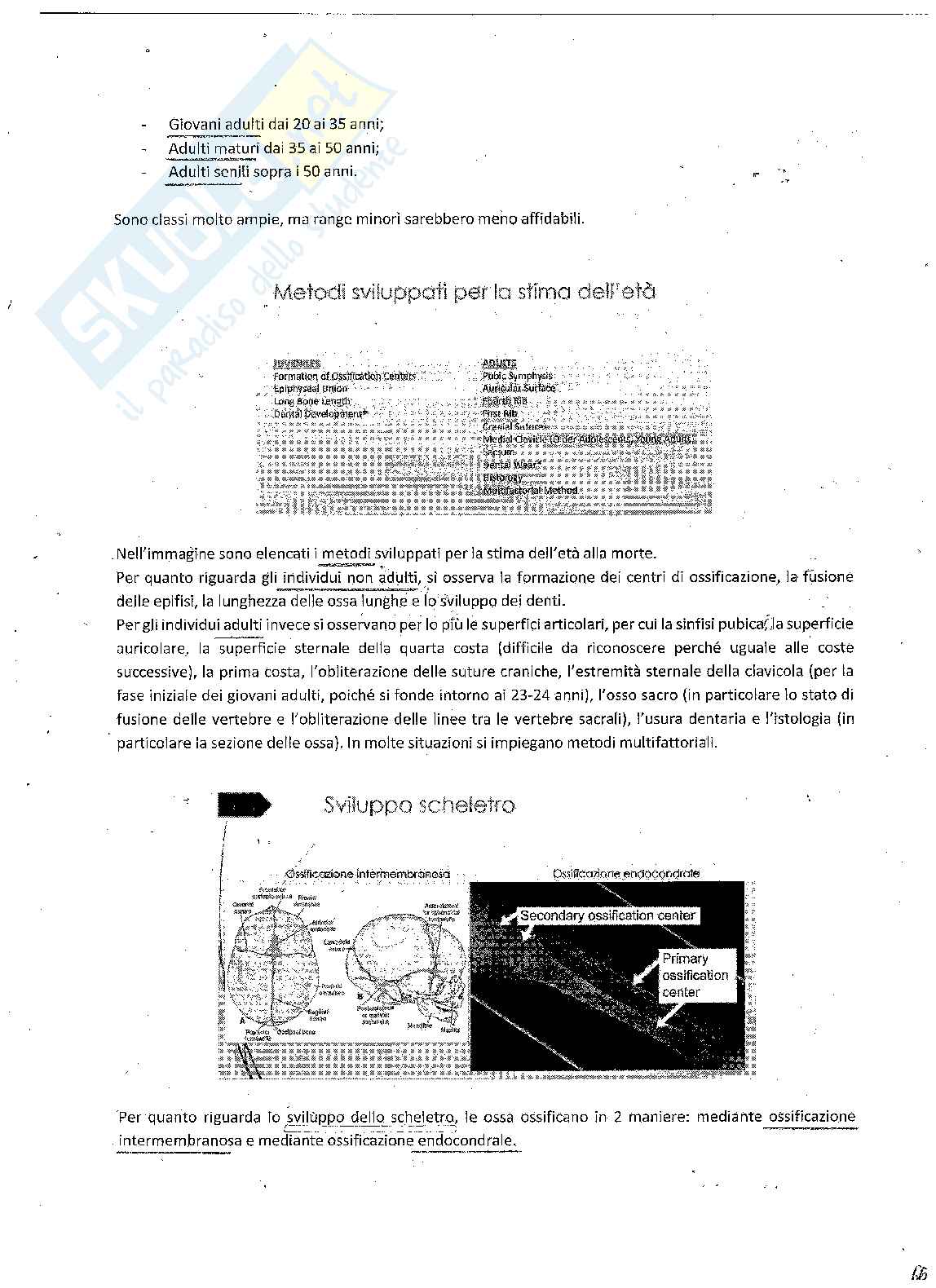 Antropologia forense - modulo osteologia  Pag. 66