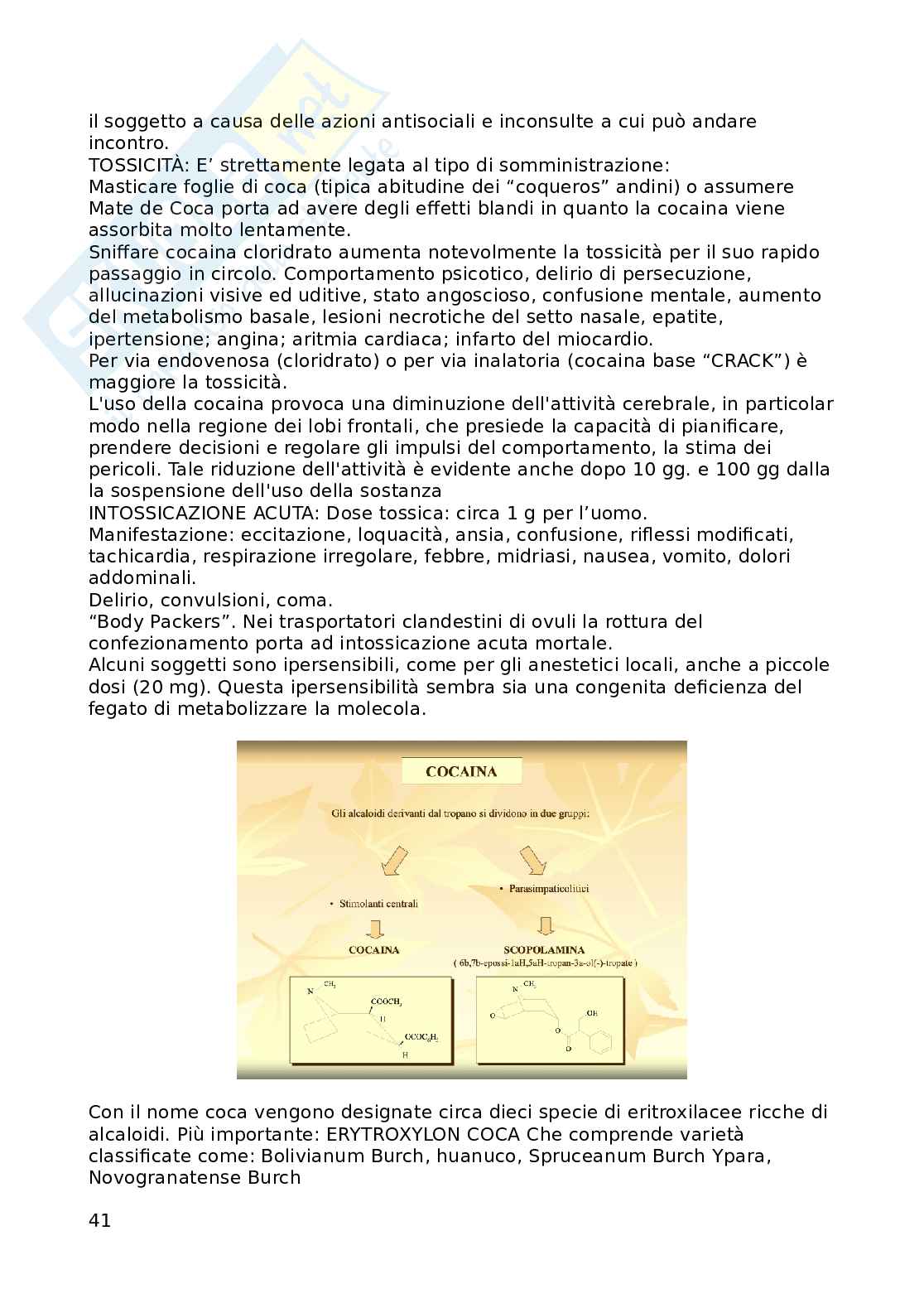 Appunti Chimica tossicologia Pag. 41