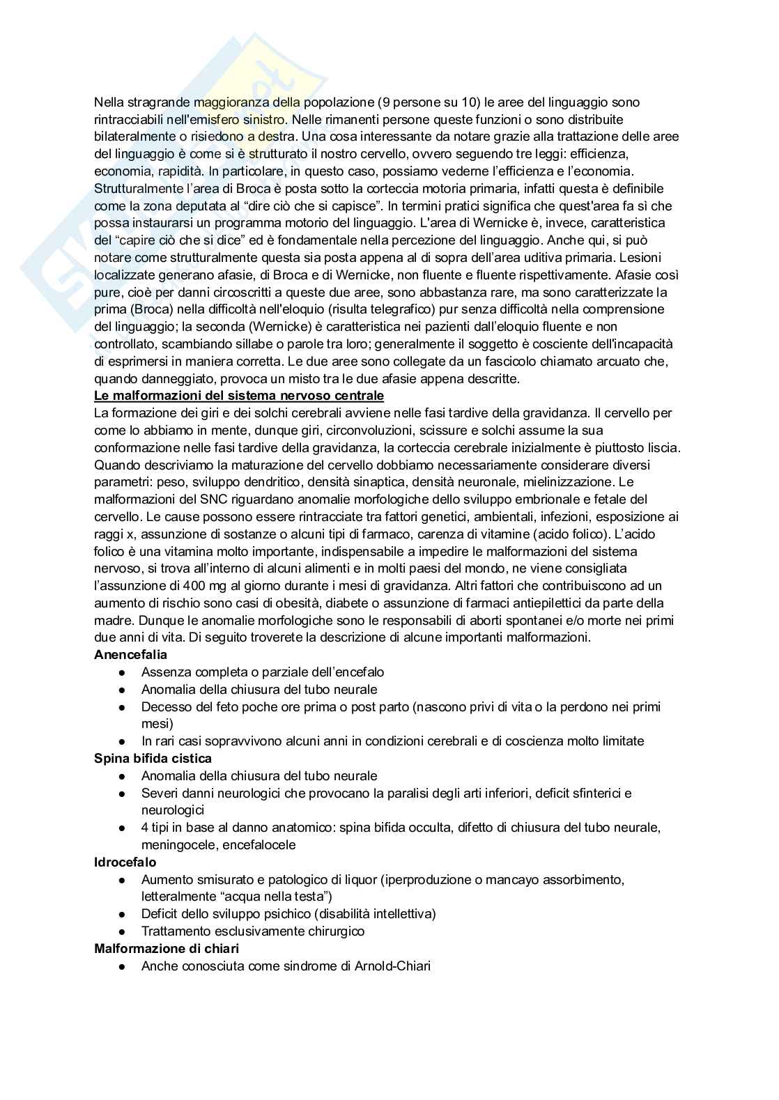 Neuropsichiatria infantile Pag. 11