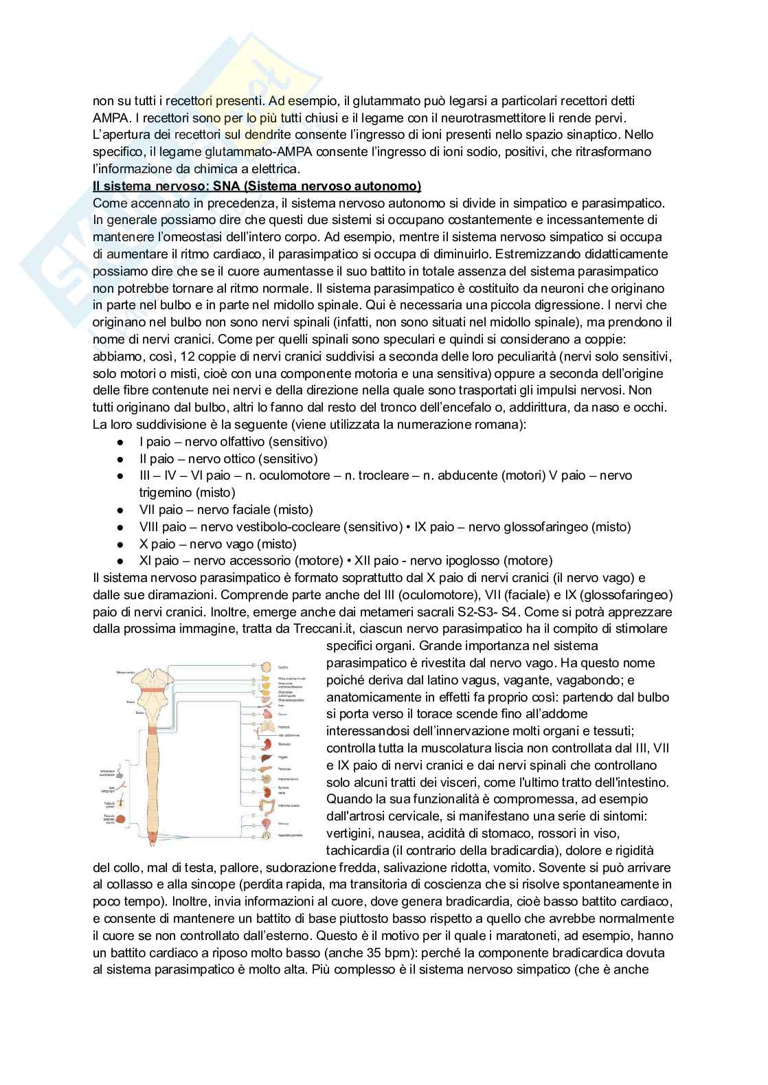 Neuropsichiatria infantile Pag. 6