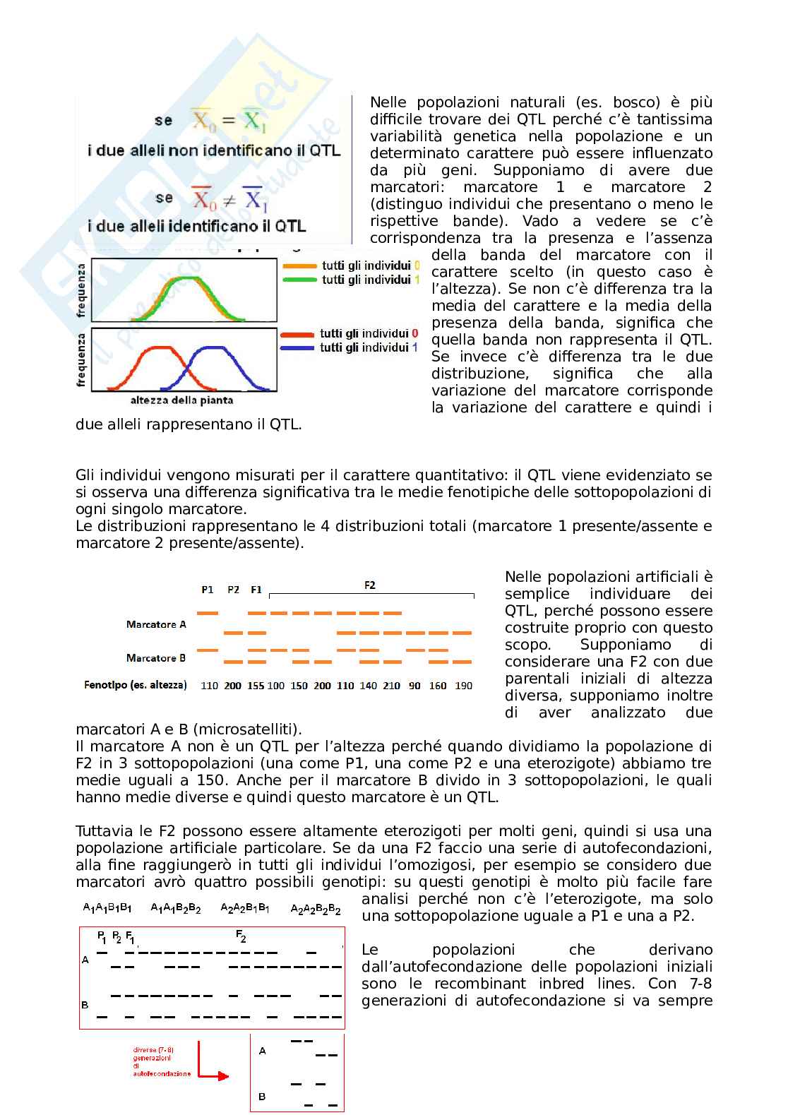 Fondamenti di miglioramento genetico Pag. 16