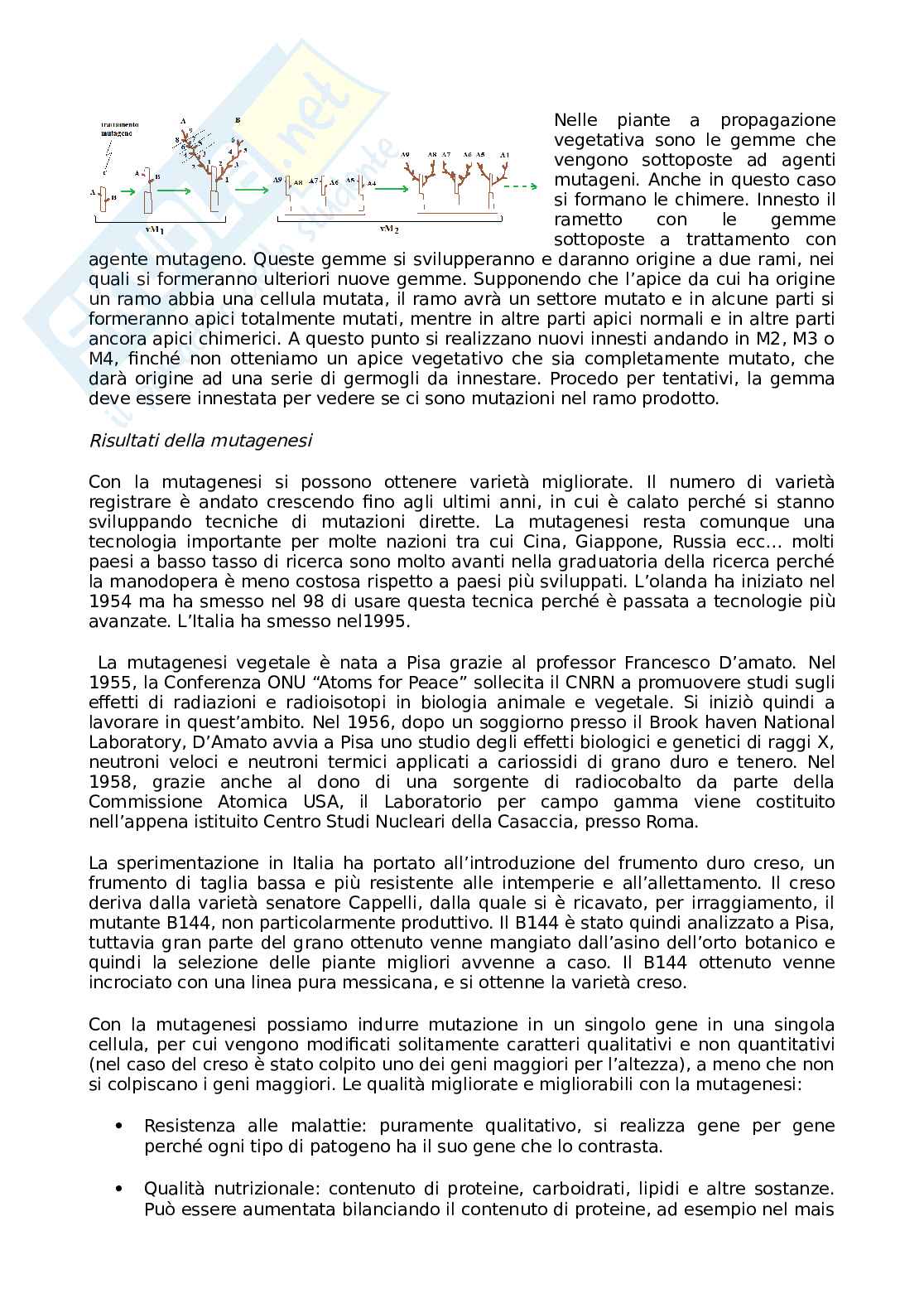 Fondamenti di miglioramento genetico Pag. 41