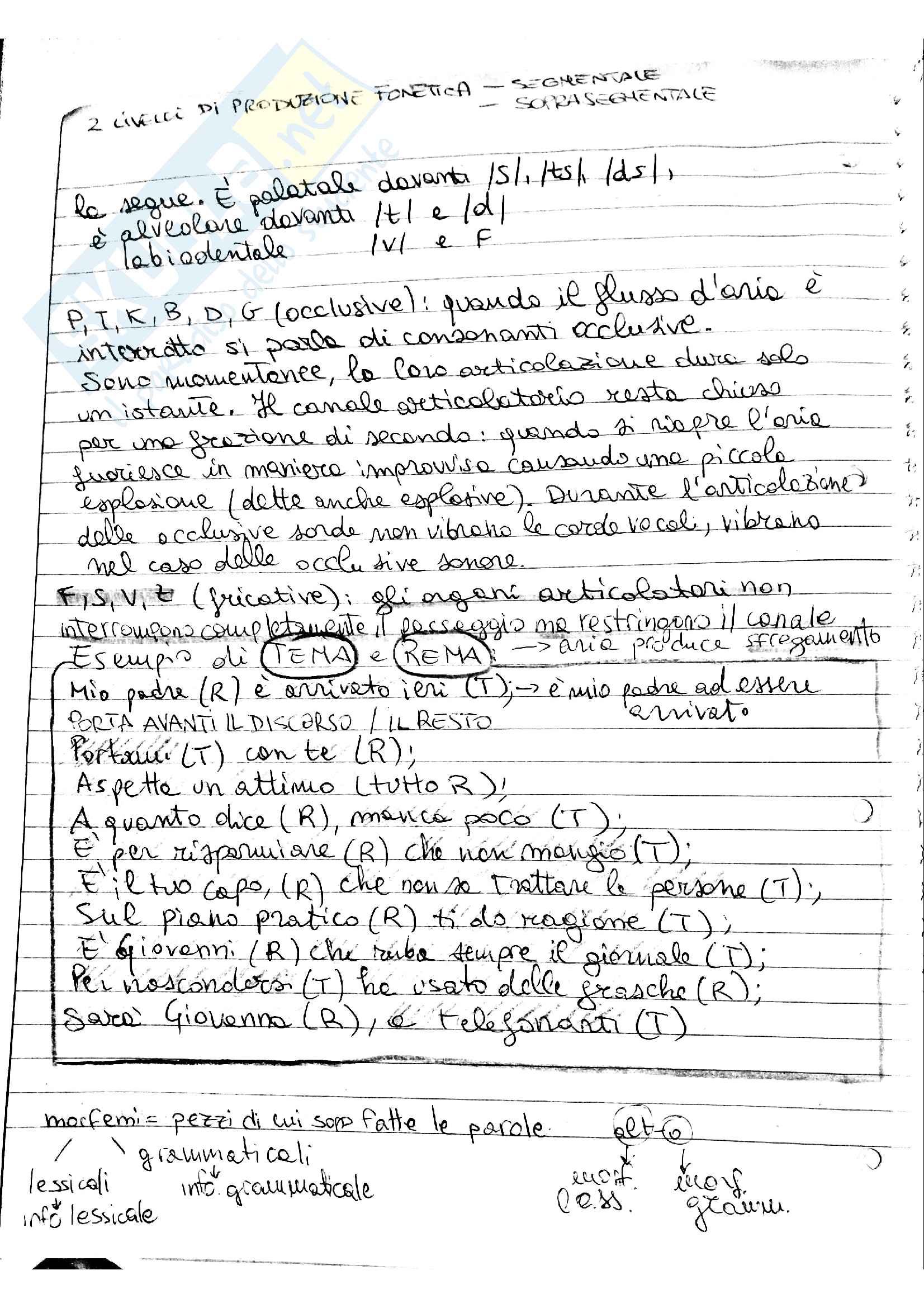 Riassunto esame linguistica generale prof Vallauri Pag. 16